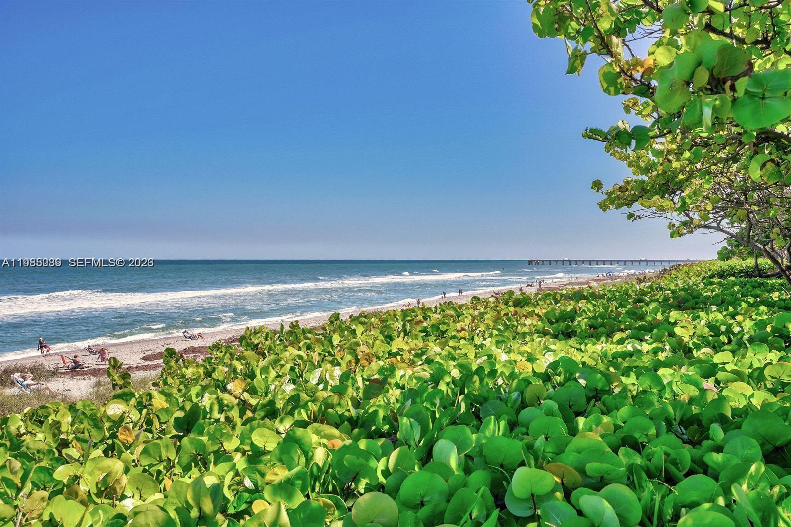1404 Mainsail Cir #1404, Jupiter FL 33477