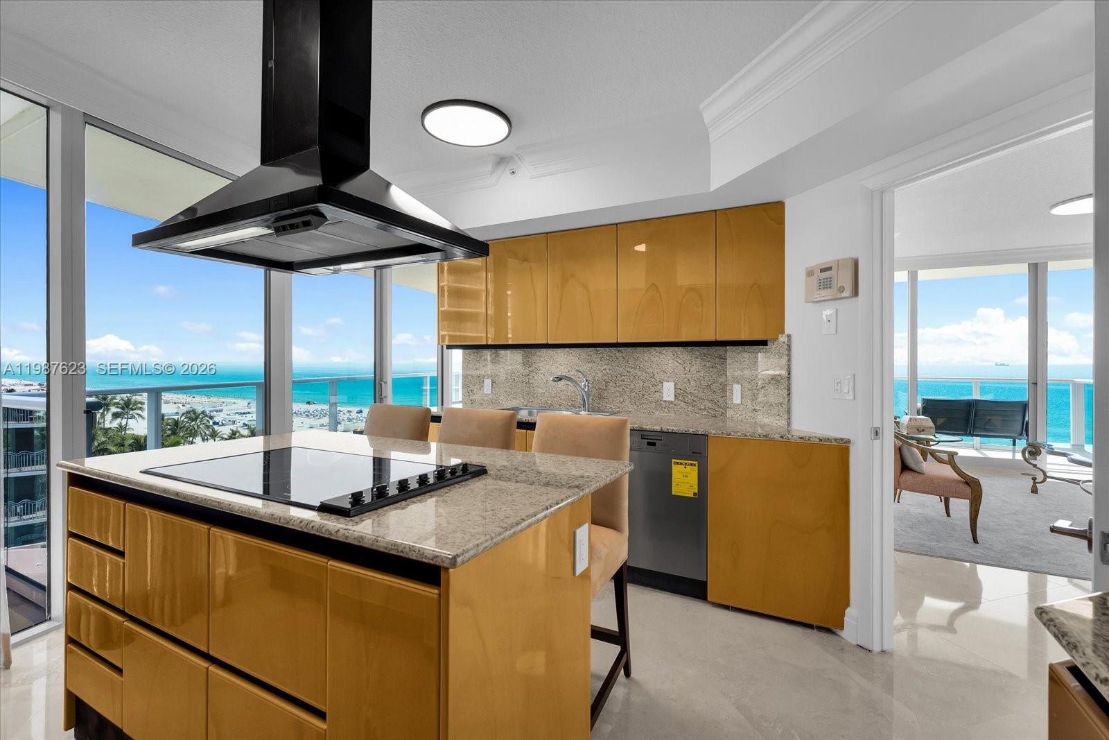 1455 Ocean Dr #909, Miami Beach FL 33139