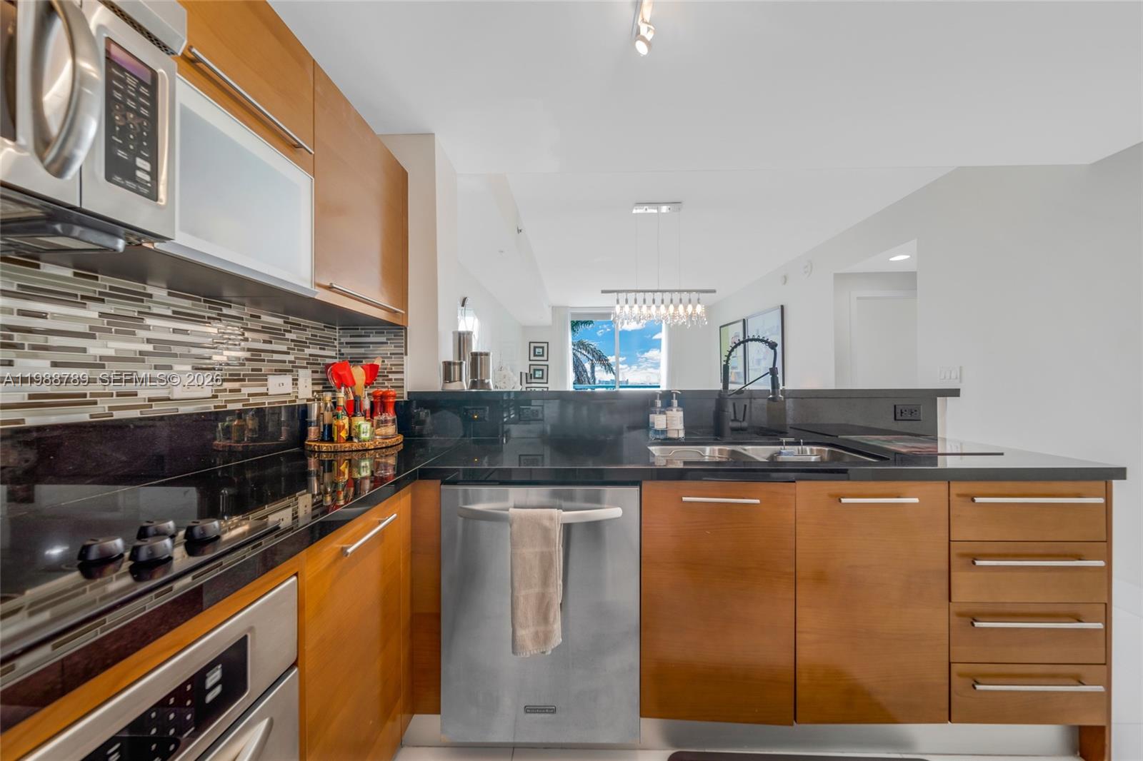 253 NE 2nd St #1109, Miami FL 33132