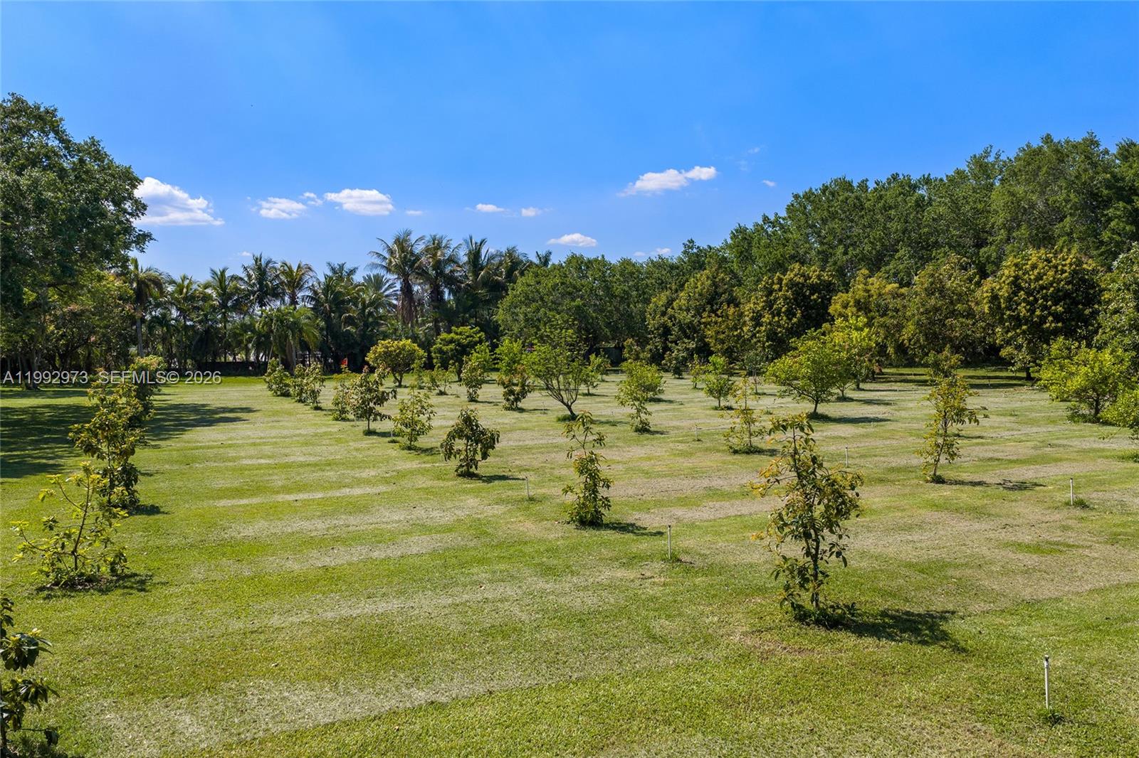 15000 SW 200th St, Miami FL 33187