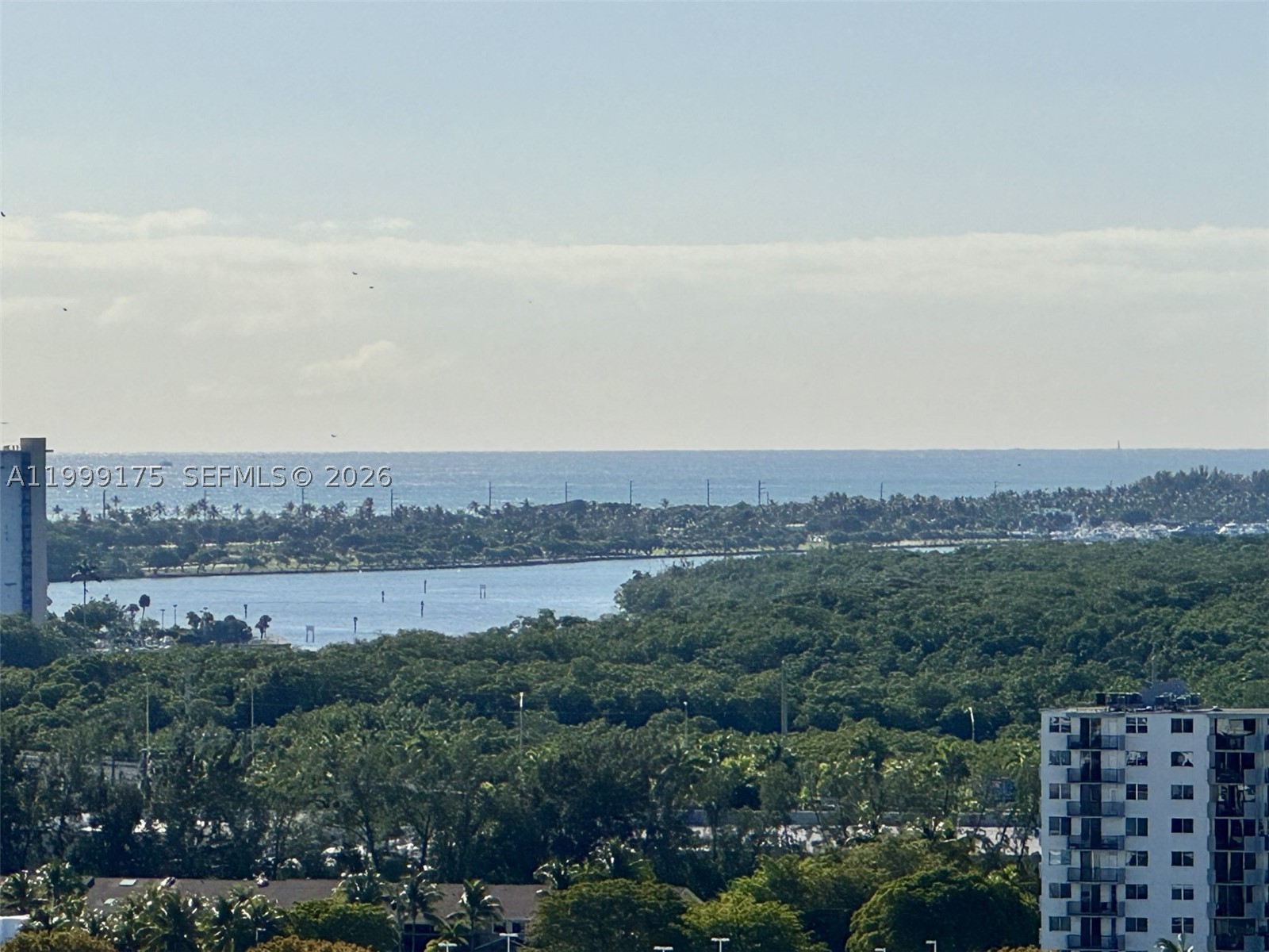 2000 Island Blvd #1801, Aventura FL 33160
