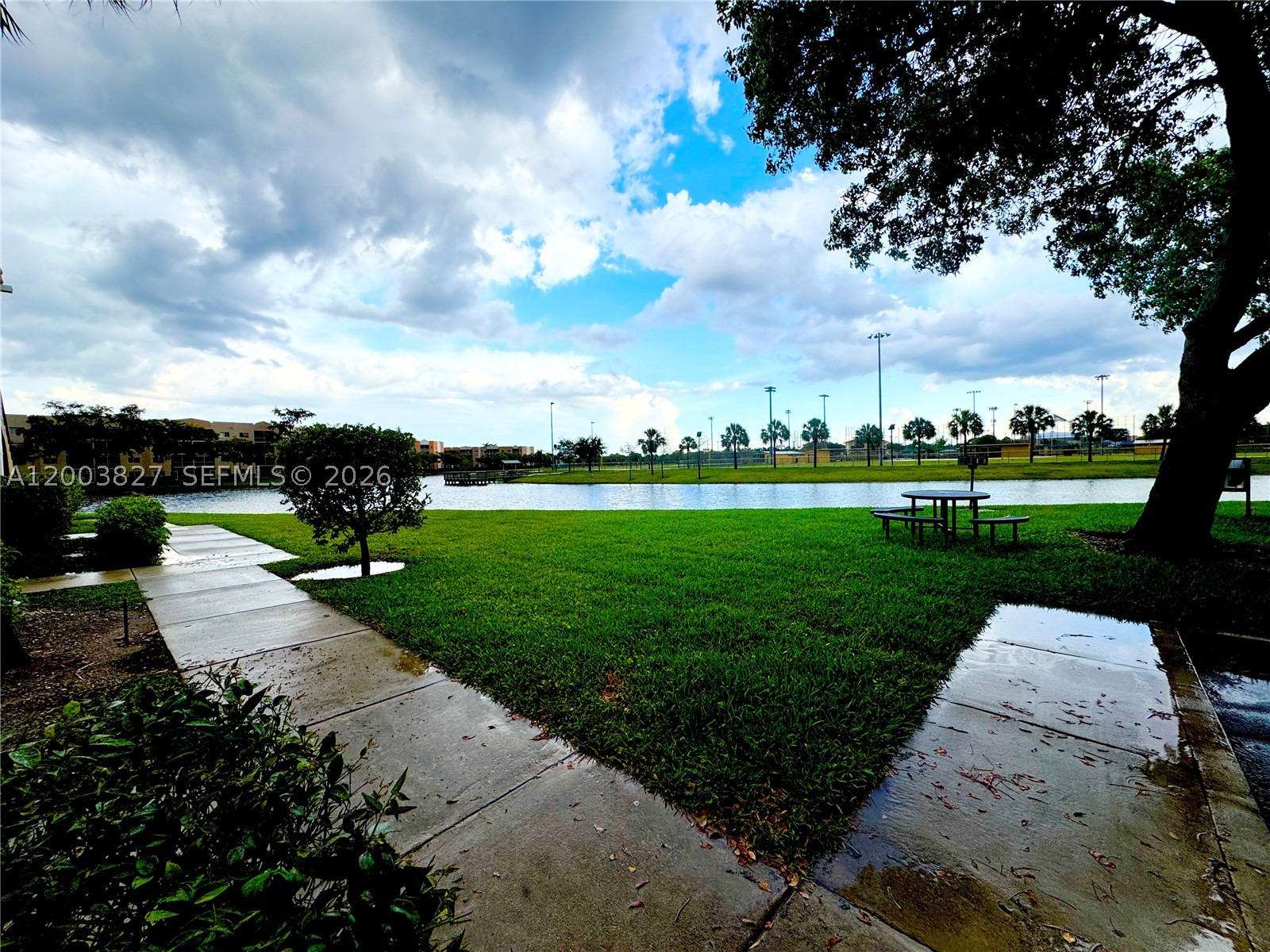 8060 N Nob Hill Rd #203, Tamarac FL 33321