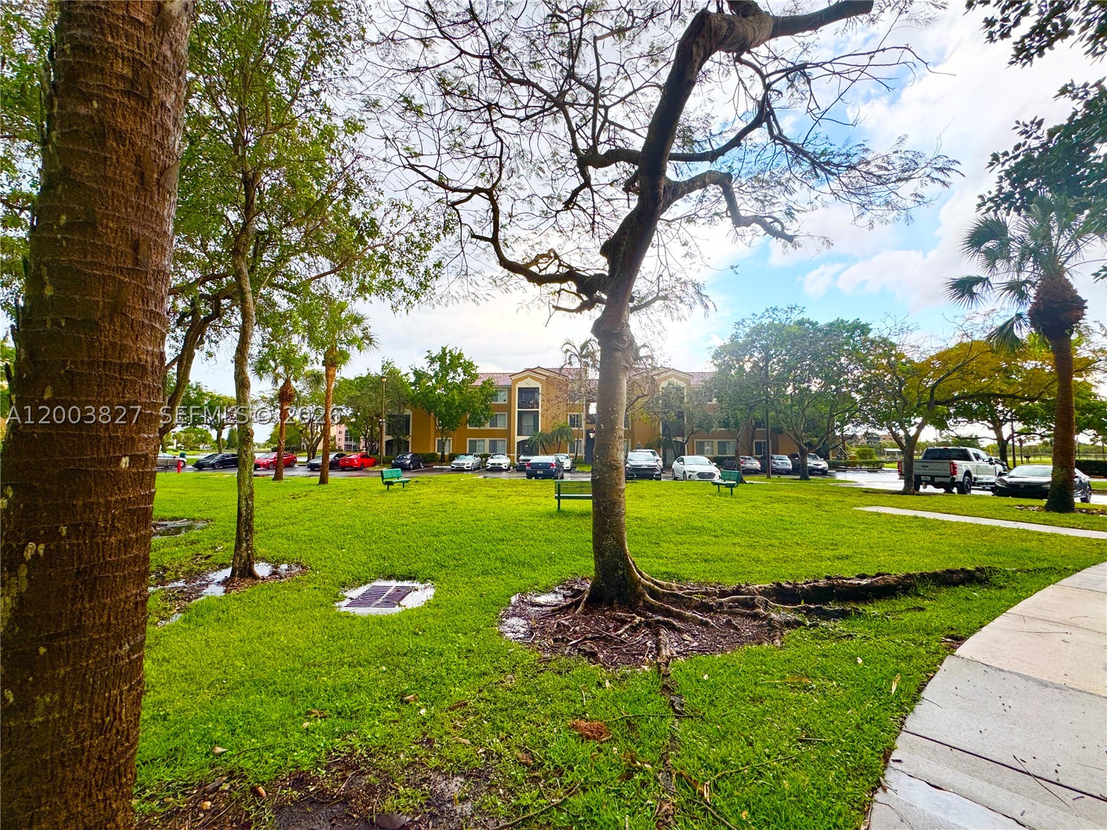 8060 N Nob Hill Rd #203, Tamarac FL 33321