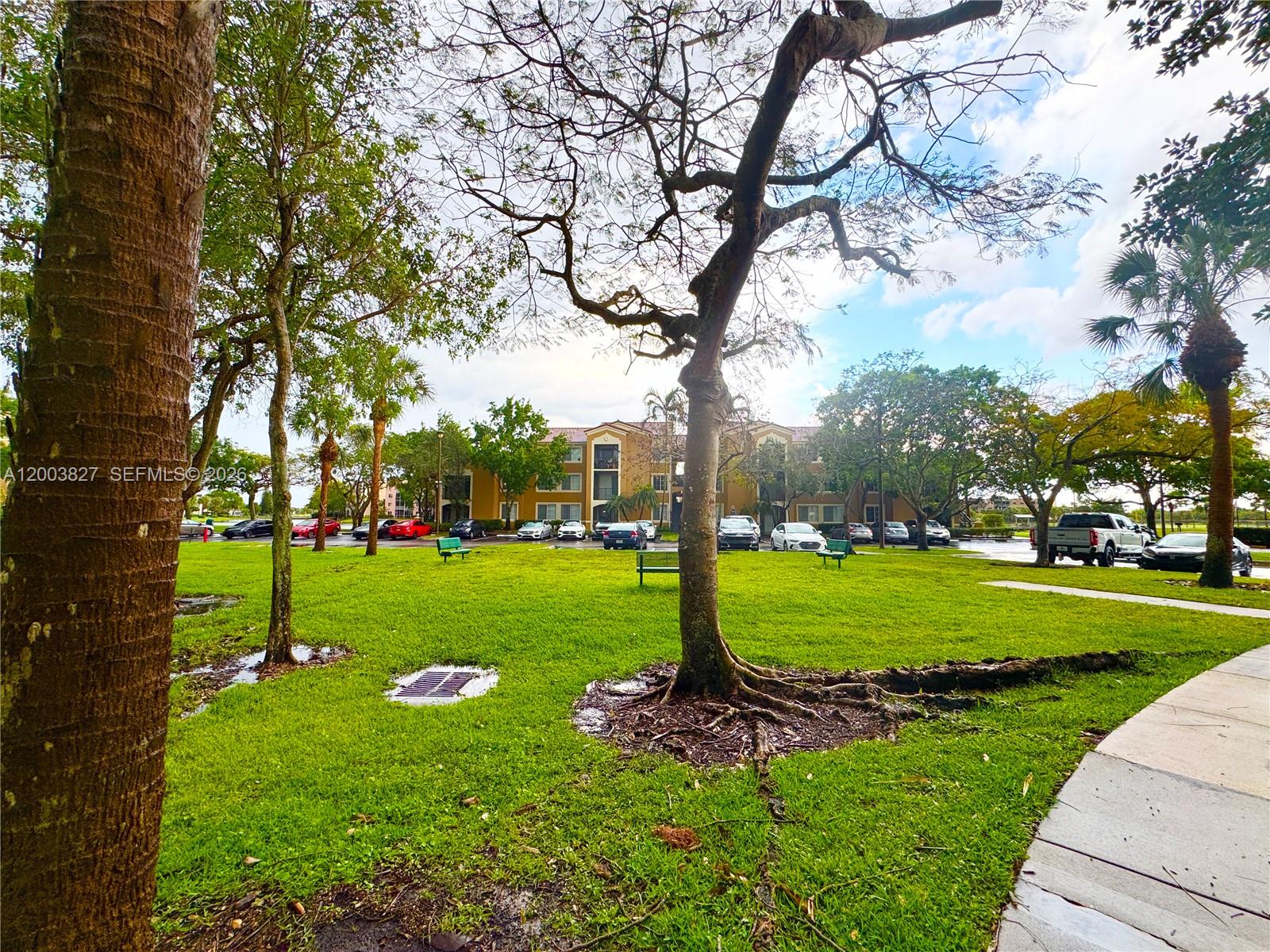 8060 N Nob Hill Rd #203, Tamarac FL 33321