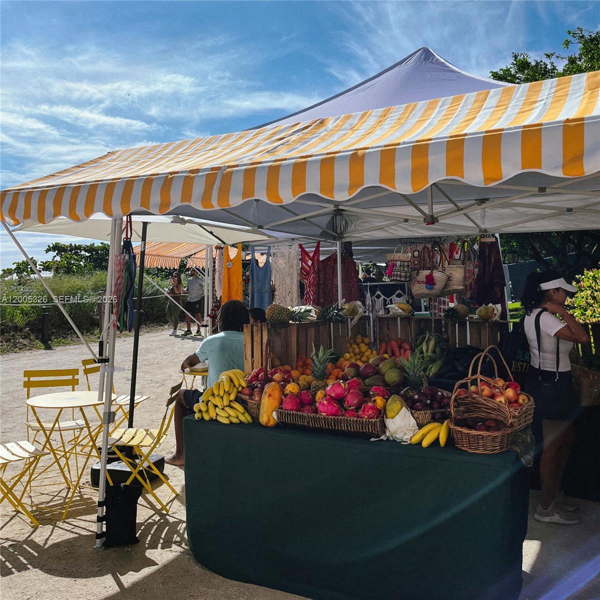 9048 Carlyle Ave, Surfside FL 33154