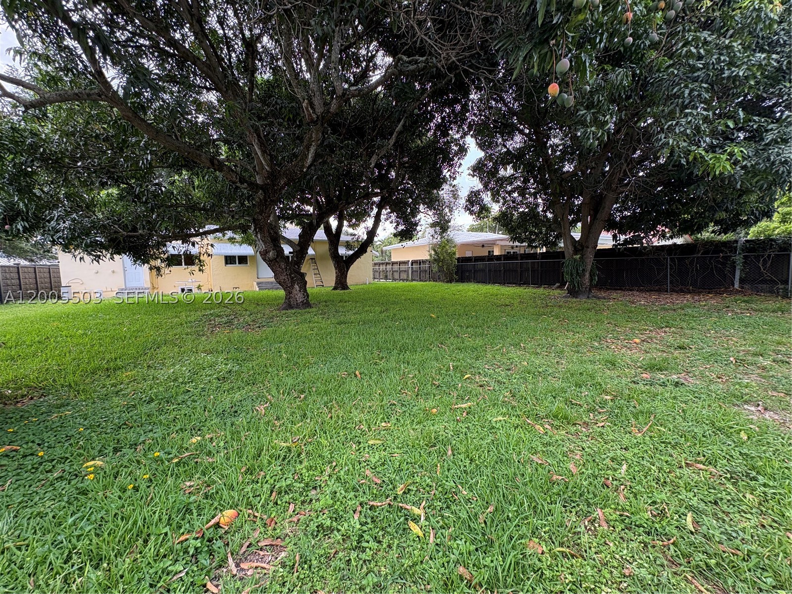 432 Palmetto Dr, Miami Springs FL 33166