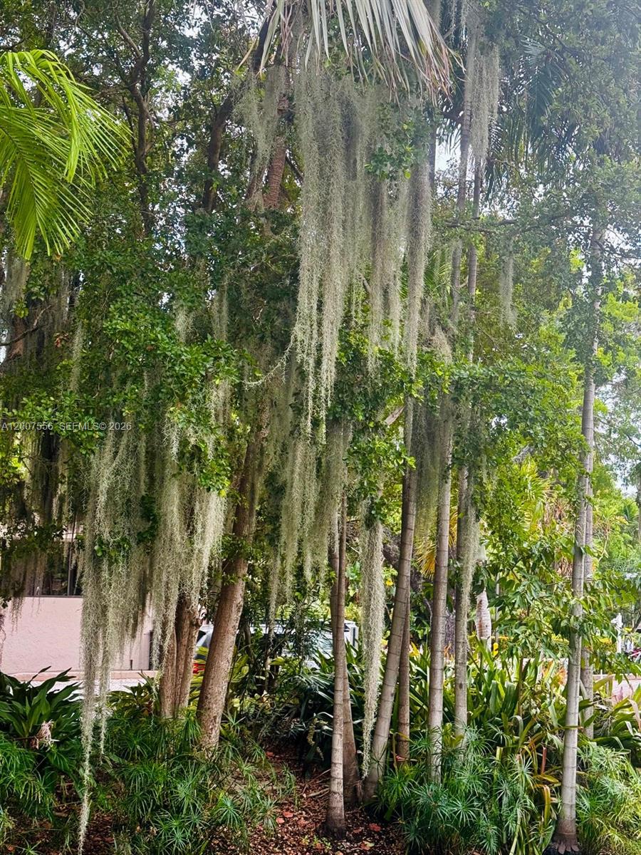 101 E Crandon Blvd #276, Key Biscayne FL 33149