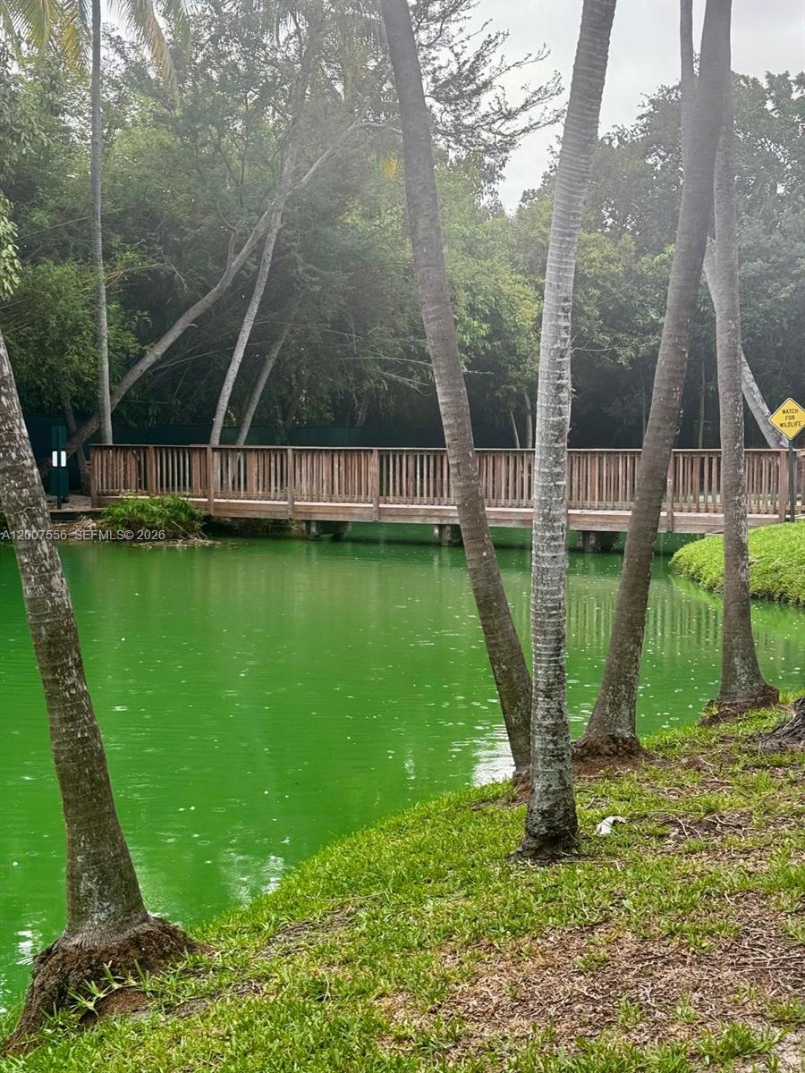 101 E Crandon Blvd #276, Key Biscayne FL 33149