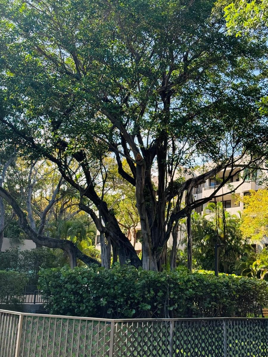 101 E Crandon Blvd #276, Key Biscayne FL 33149
