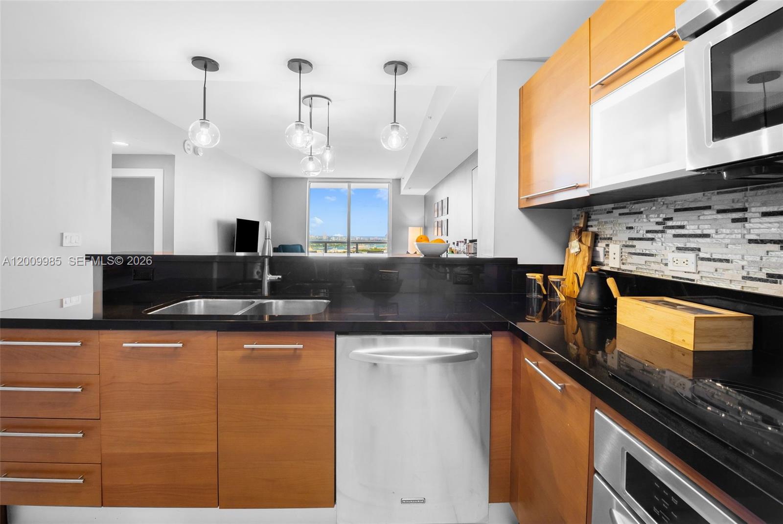 253 NE 2nd St #2503, Miami FL 33132
