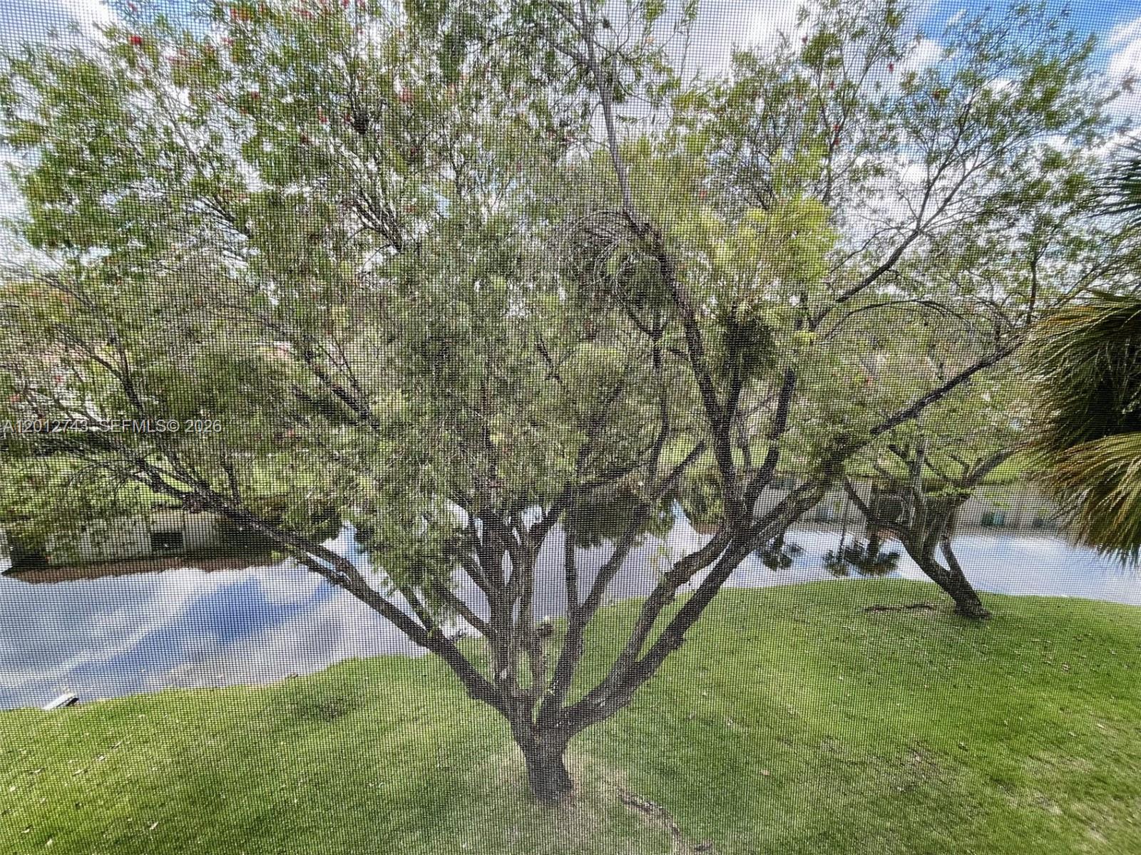 491 Racquet Club Rd #303, Weston FL 33326