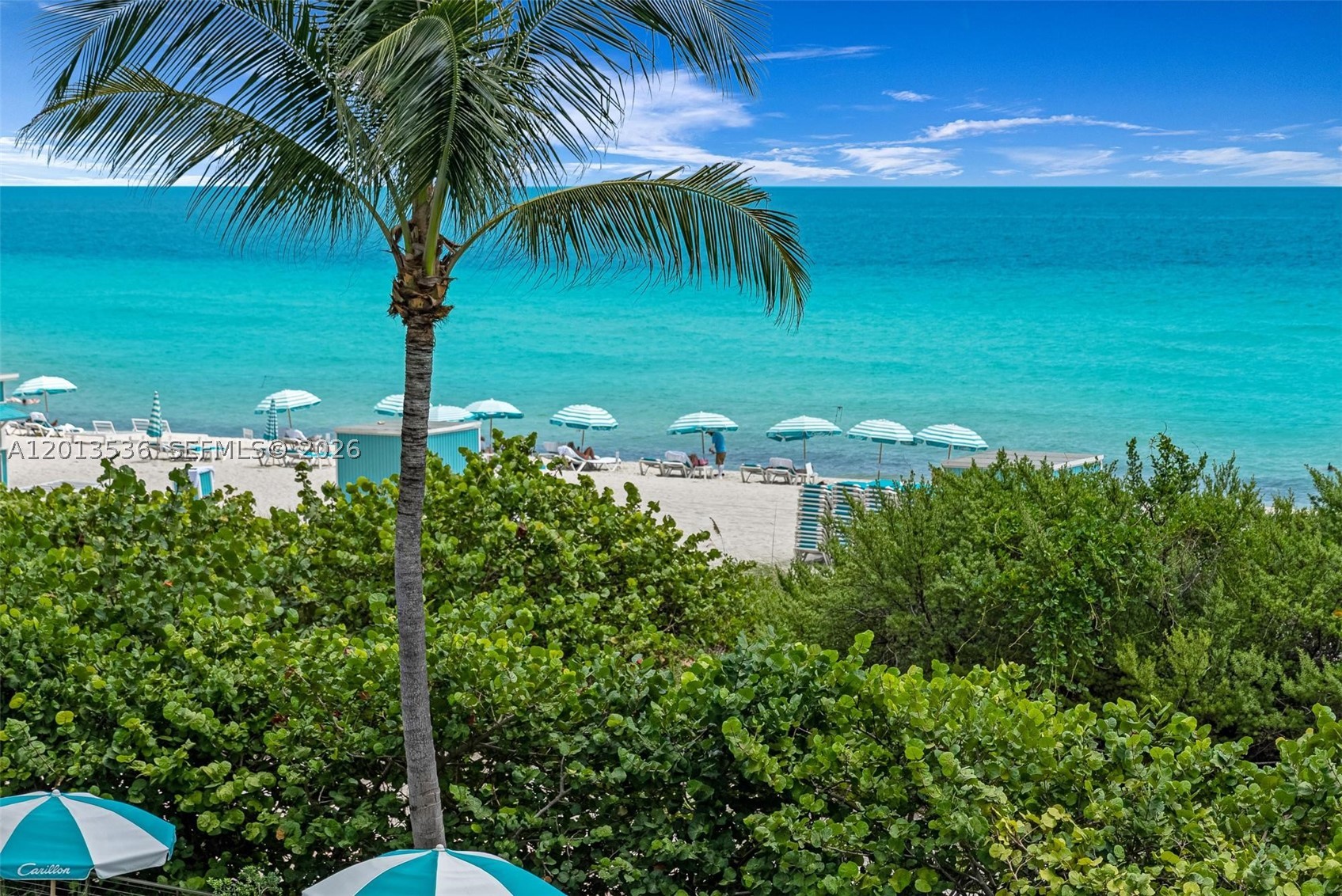 6799 Collins Ave #205, Miami Beach FL 33141