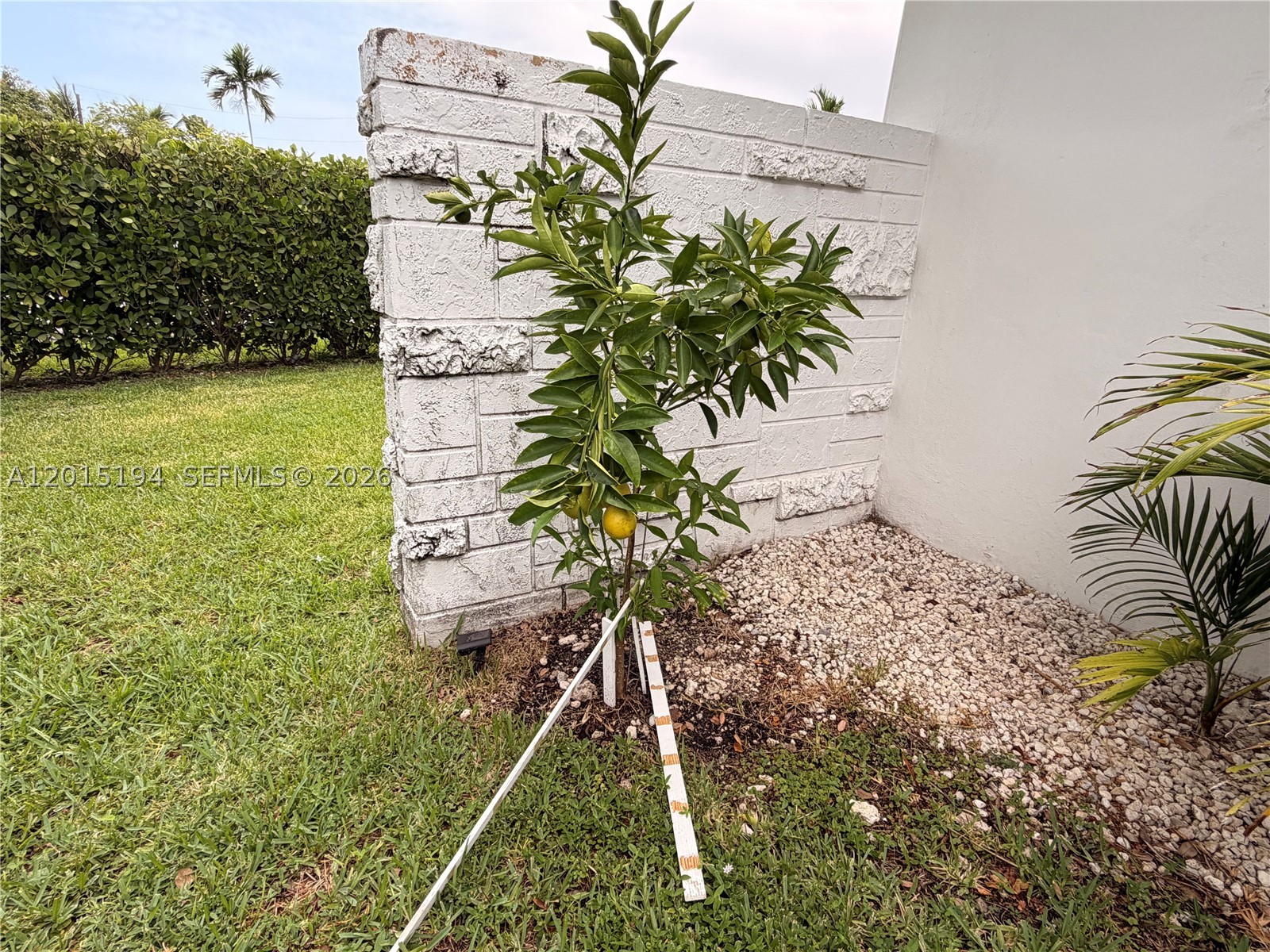 11445 N Bayshore Dr, North Miami FL 33181