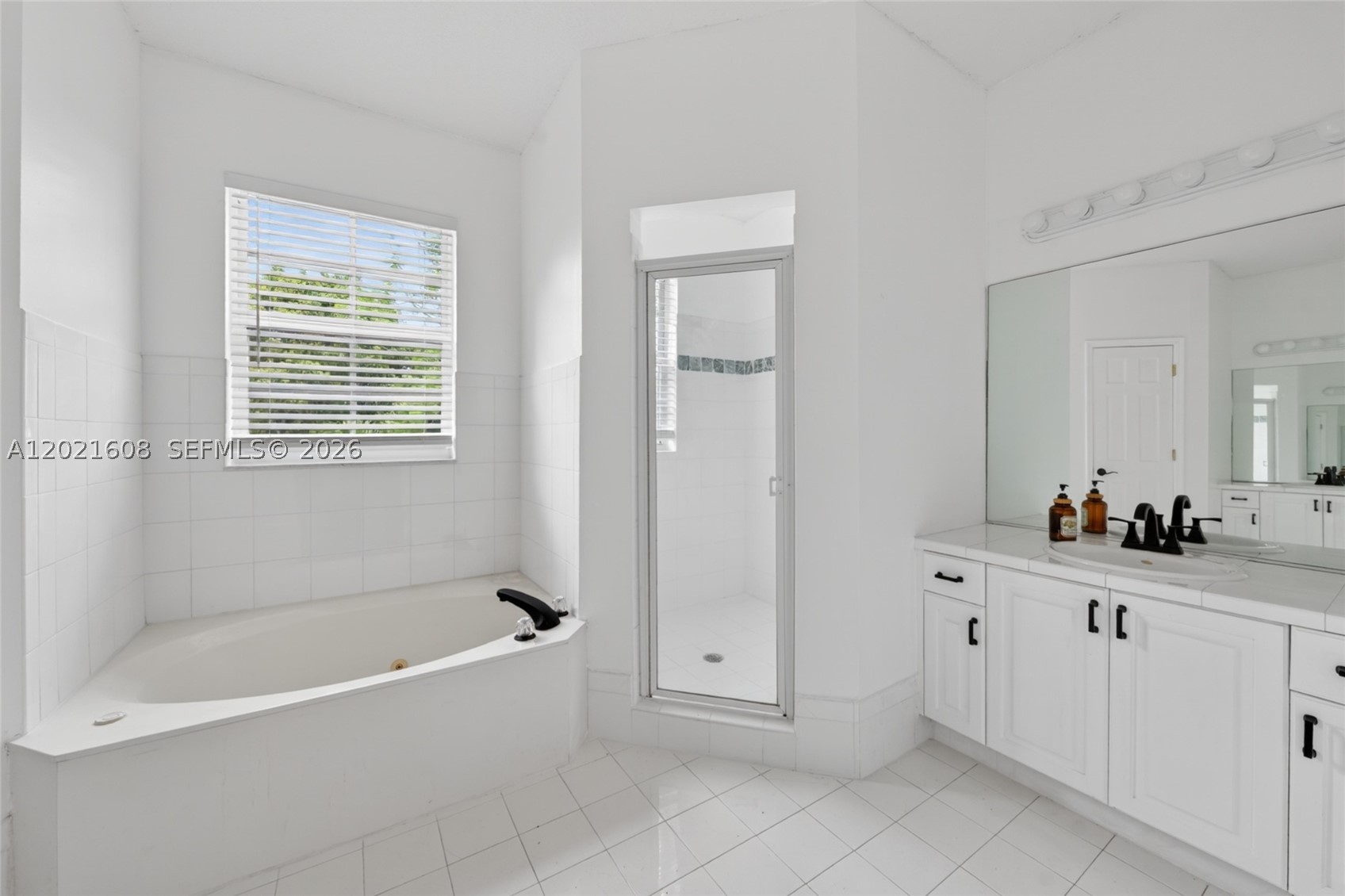 8204 SW 171st St, Palmetto Bay FL 33157