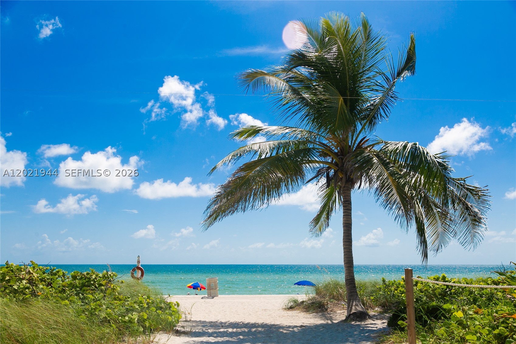 8855 Collins Ave #6F, Surfside FL 33154