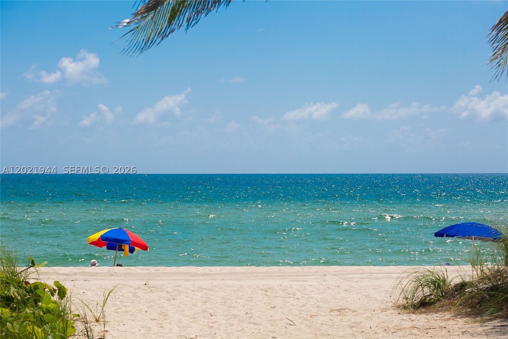 8855 Collins Ave #6F, Surfside FL 33154