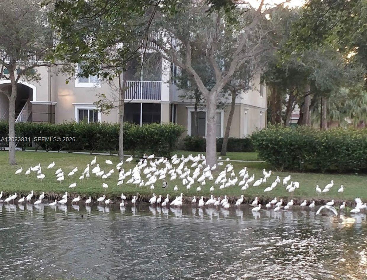 11715 W Atlantic Blvd #1826, Coral Springs FL 33071
