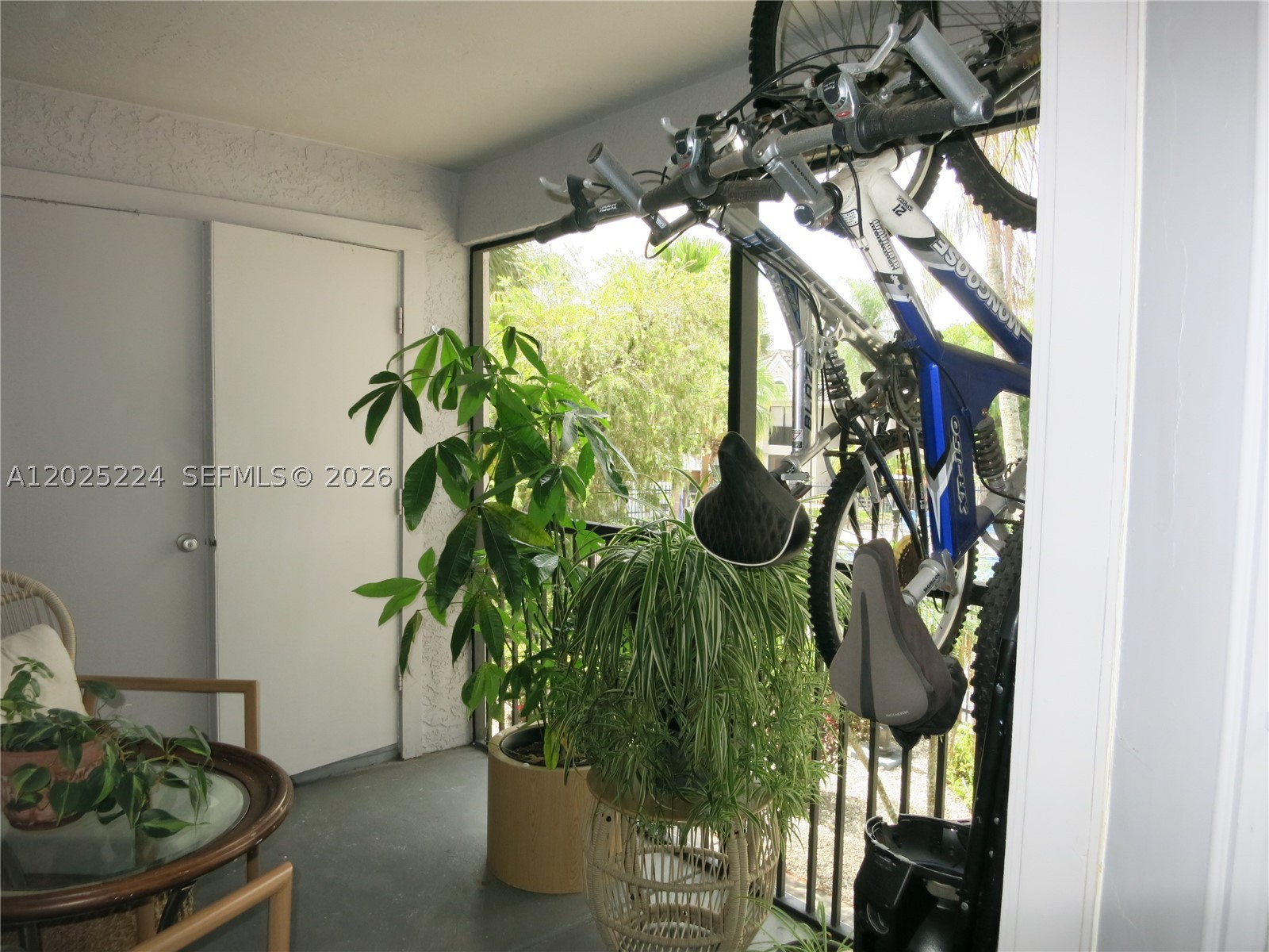 15060 SW 103rd Ter #6203, Miami FL 33196