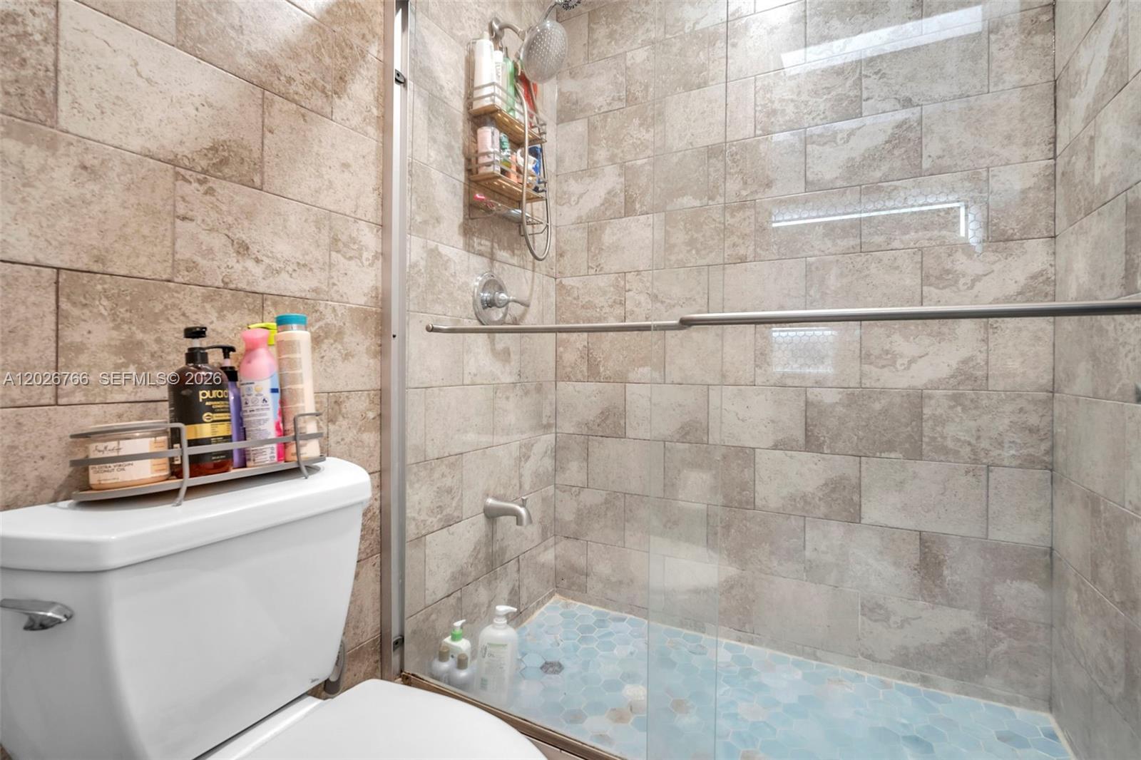 3571 Magellan Cir #343-4, Aventura FL 33180