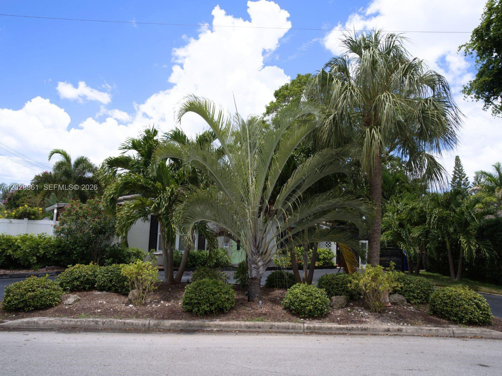 1701 NE 16th Ave #., Fort Lauderdale FL 33305