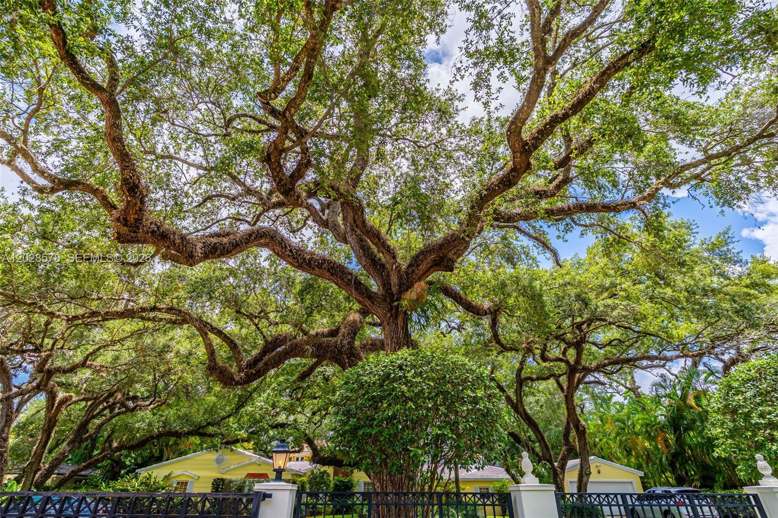 1233 Alegriano Ave, Coral Gables FL 33146
