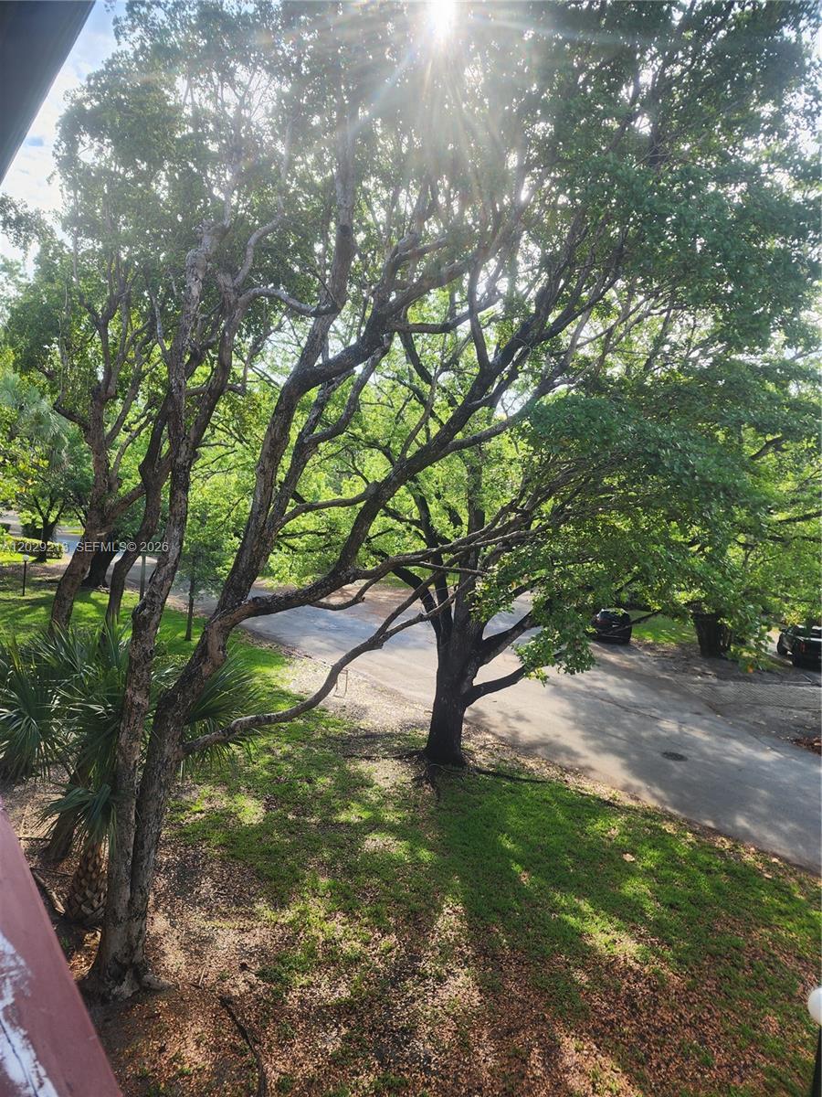 1205 Mariposa Ave #304, Coral Gables FL 33146