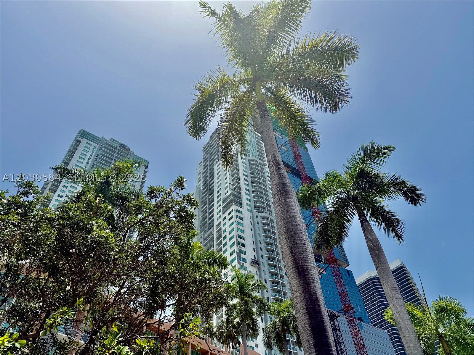 244 Biscayne Blvd #2105, Miami FL 33132