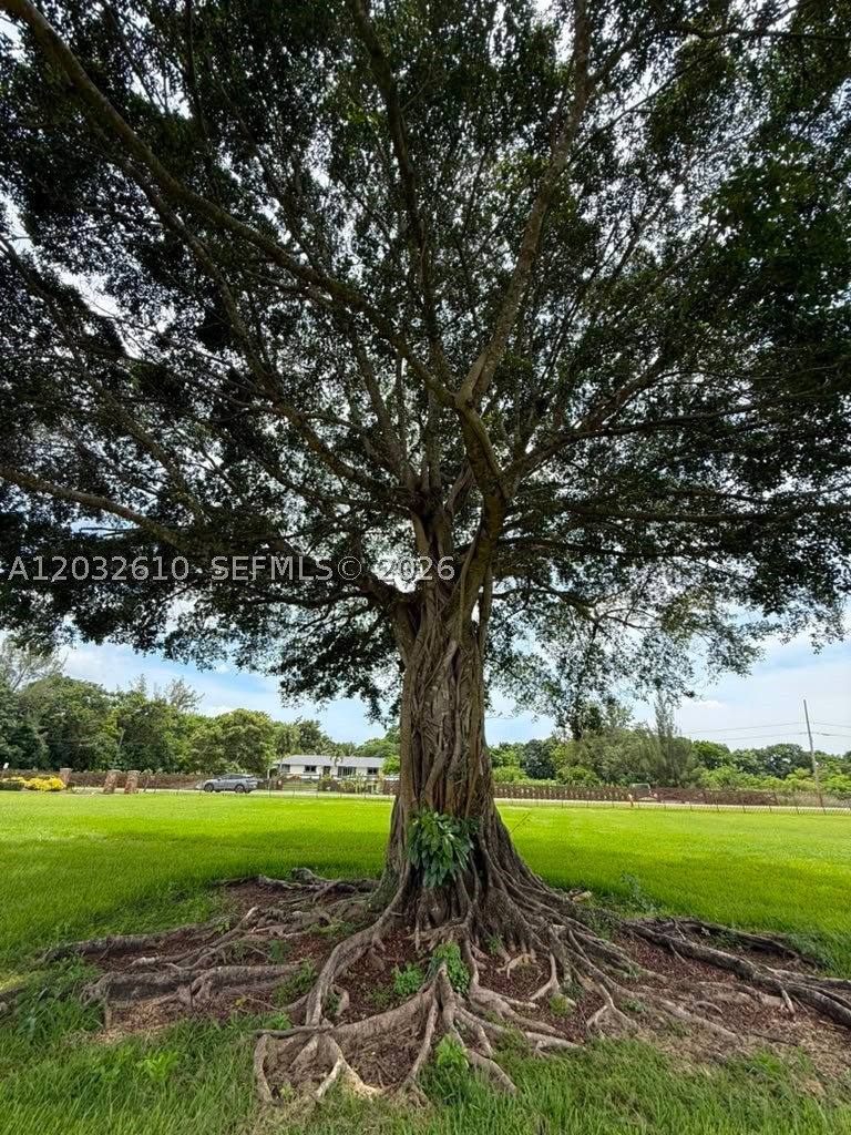 17501 SW 54th St, Southwest Ranches FL 33331