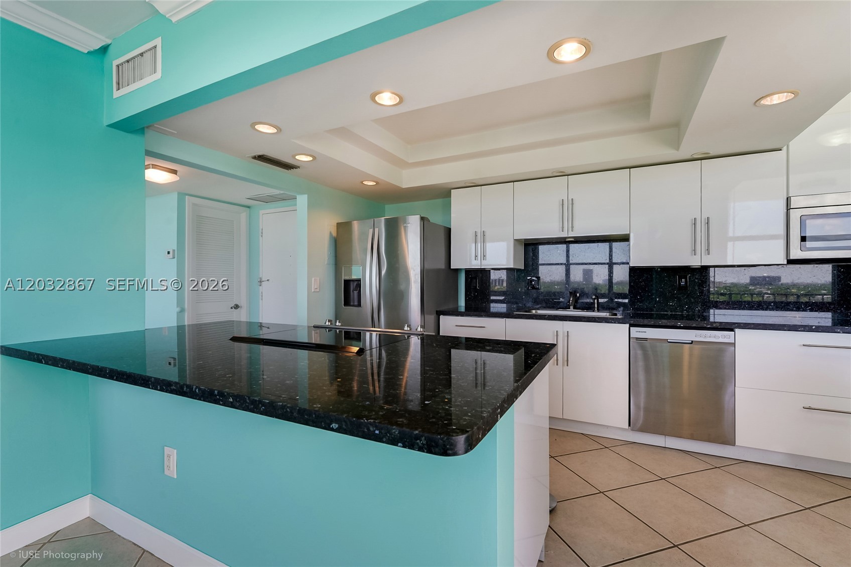 11930 N Bayshore Dr #909, North Miami FL 33181