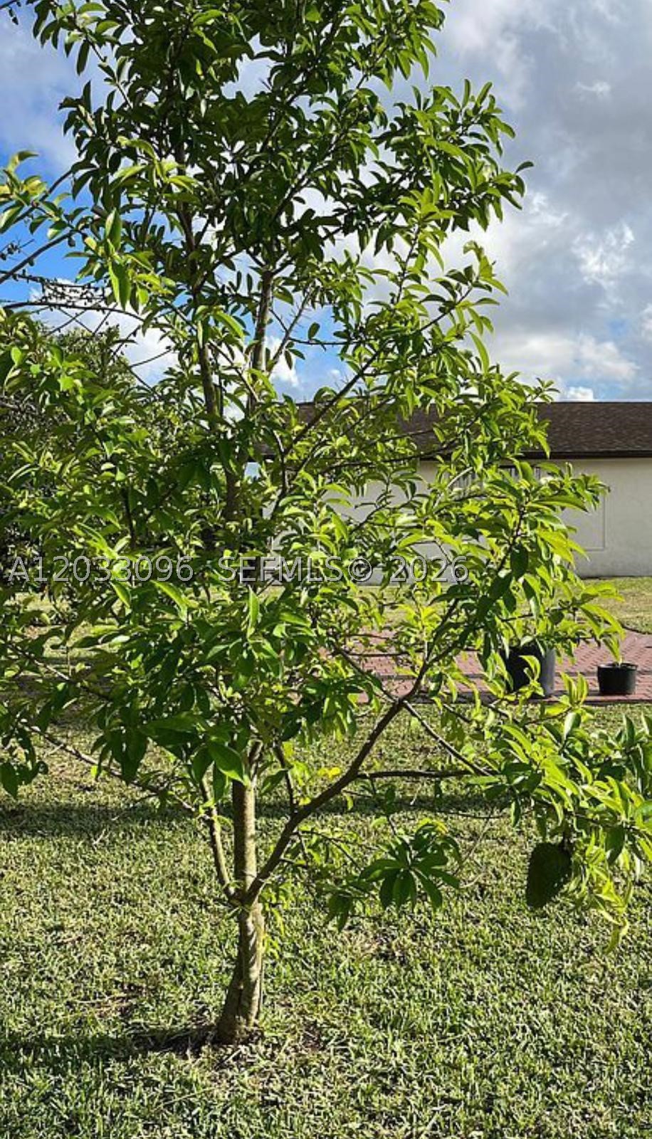 1475 NW 19 ST, Homestead FL 33030