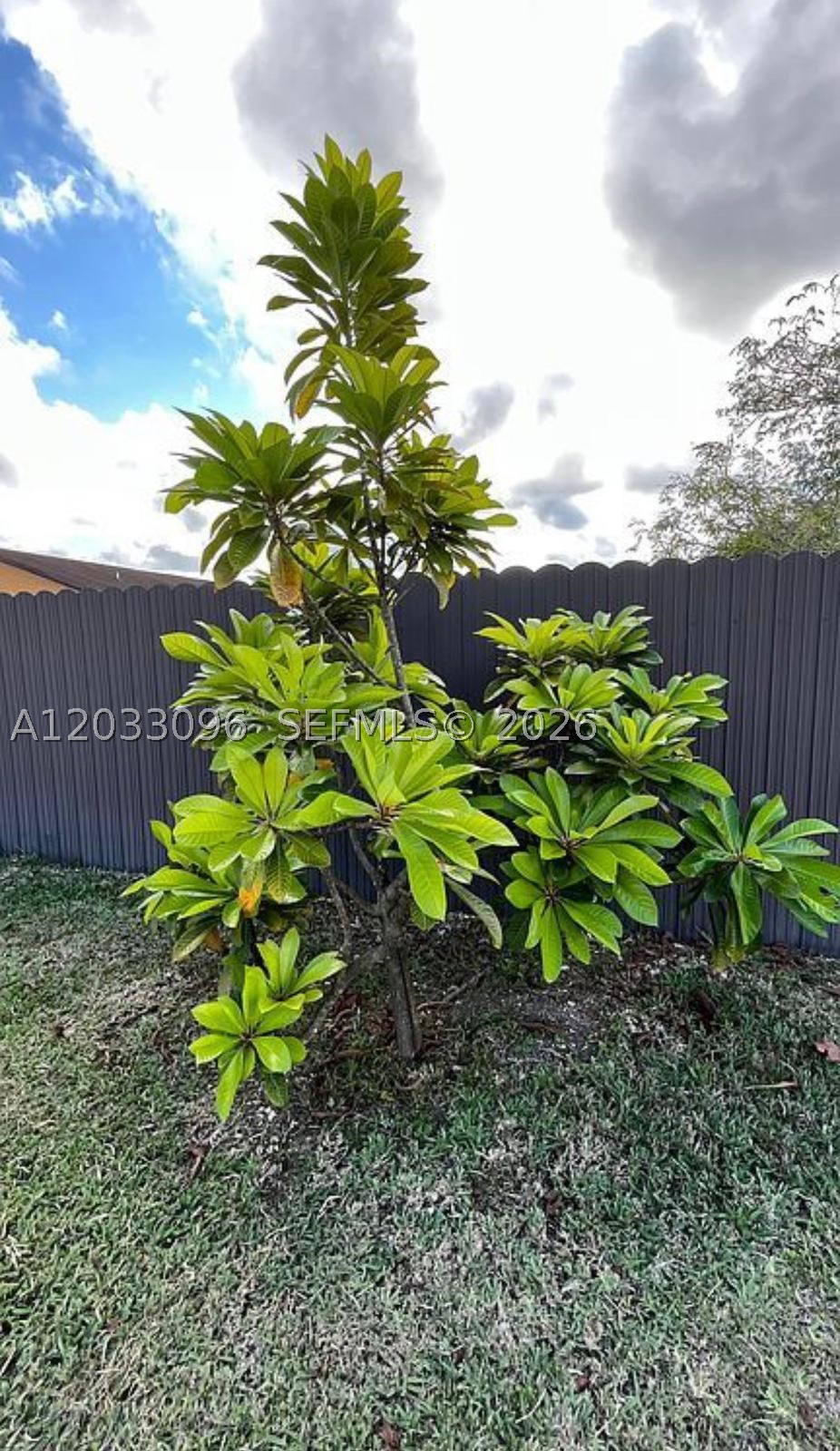 1475 NW 19 ST, Homestead FL 33030