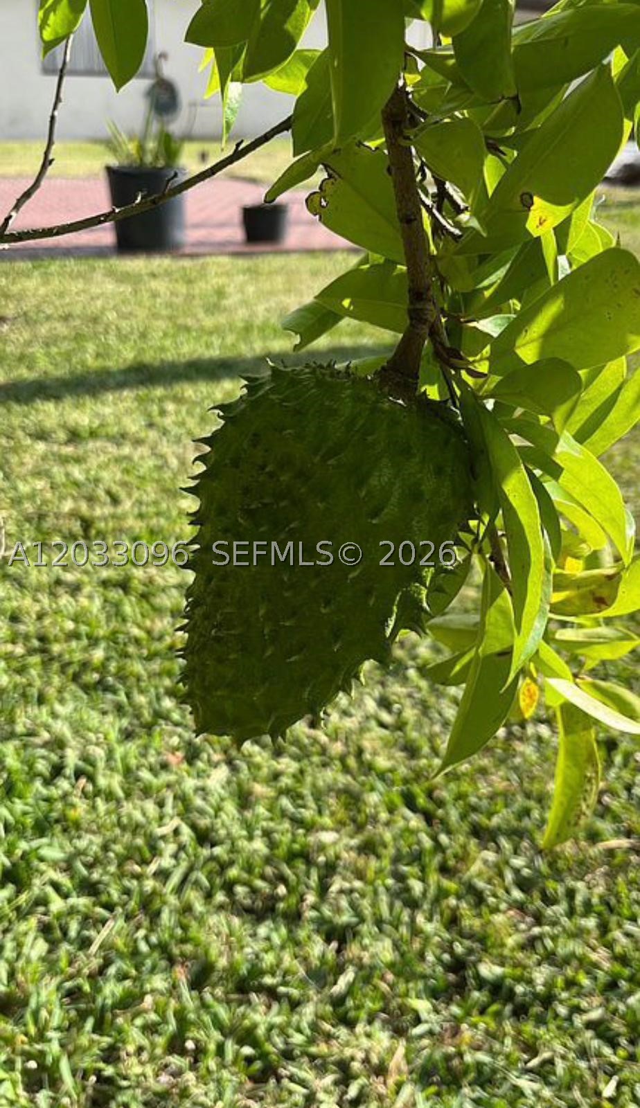 1475 NW 19 ST, Homestead FL 33030