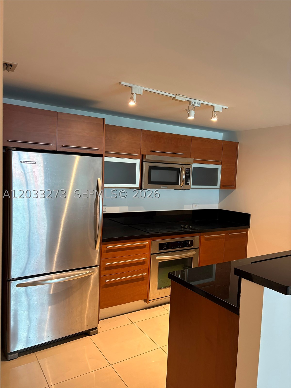 253 NE 2nd St #509, Miami FL 33132