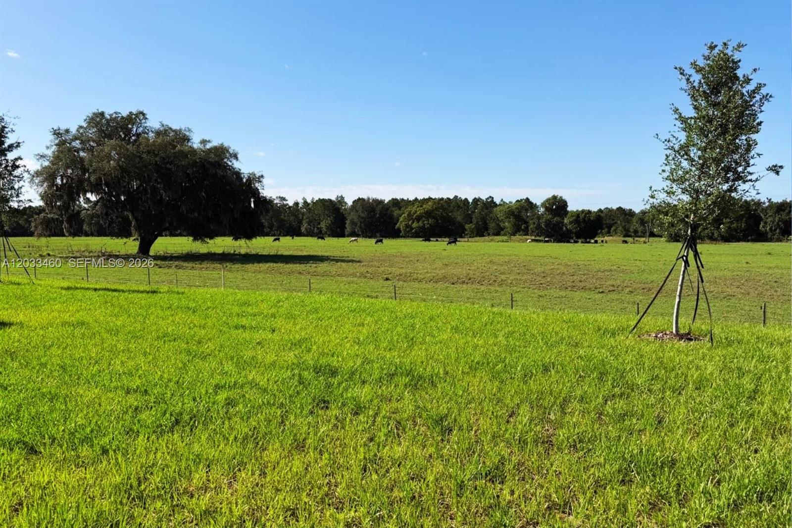 2831 Pioneer Trail #., Winter Haven FL 33839