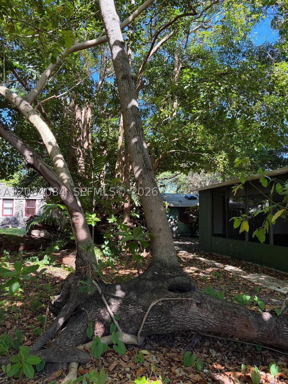 8238 NE 9th Ave, Miami FL 33138