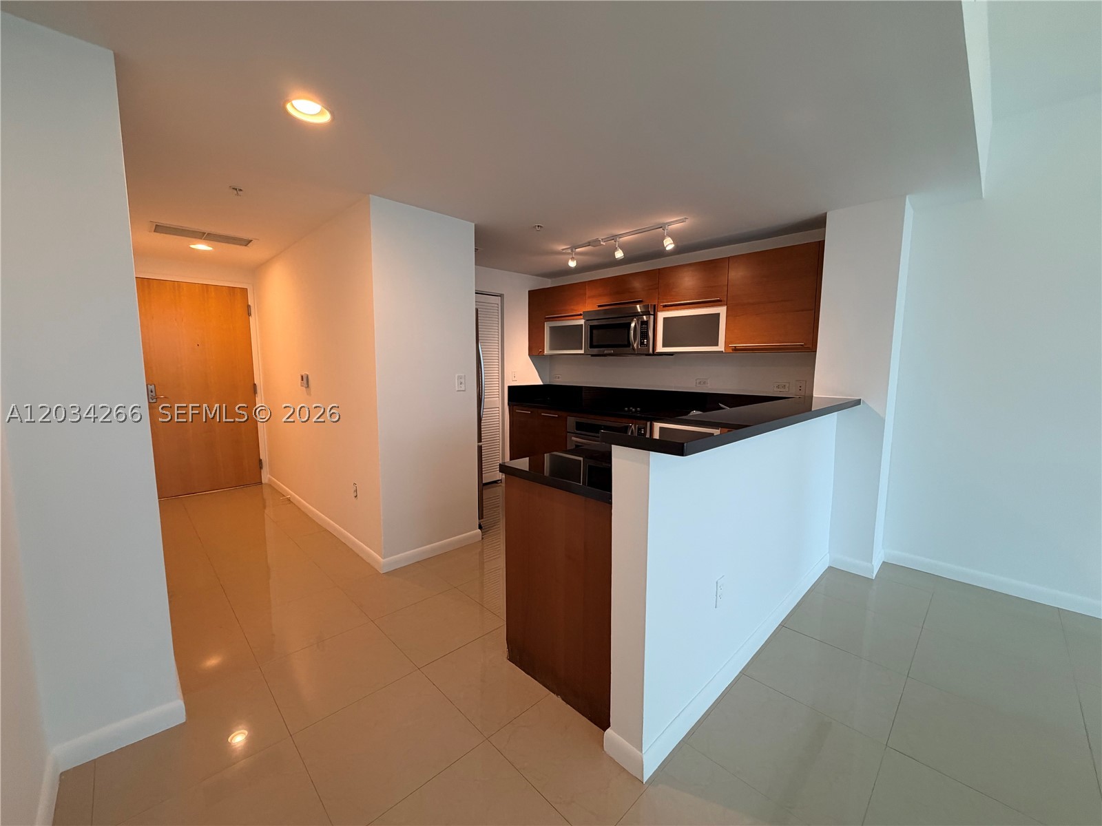 253 NE 2nd St #1006, Miami FL 33132