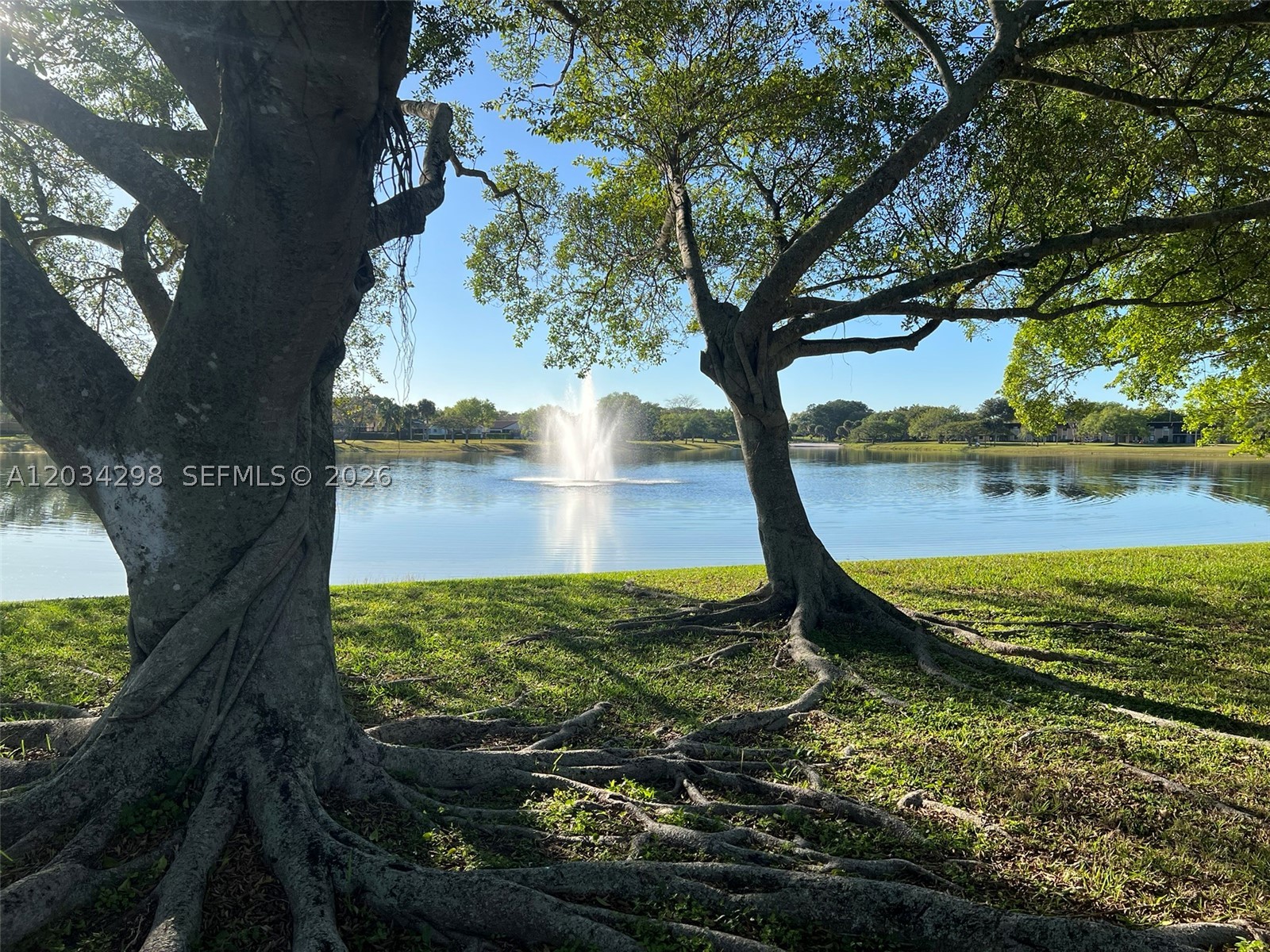 9710 Hammocks Blvd #204-31, Miami FL 33196