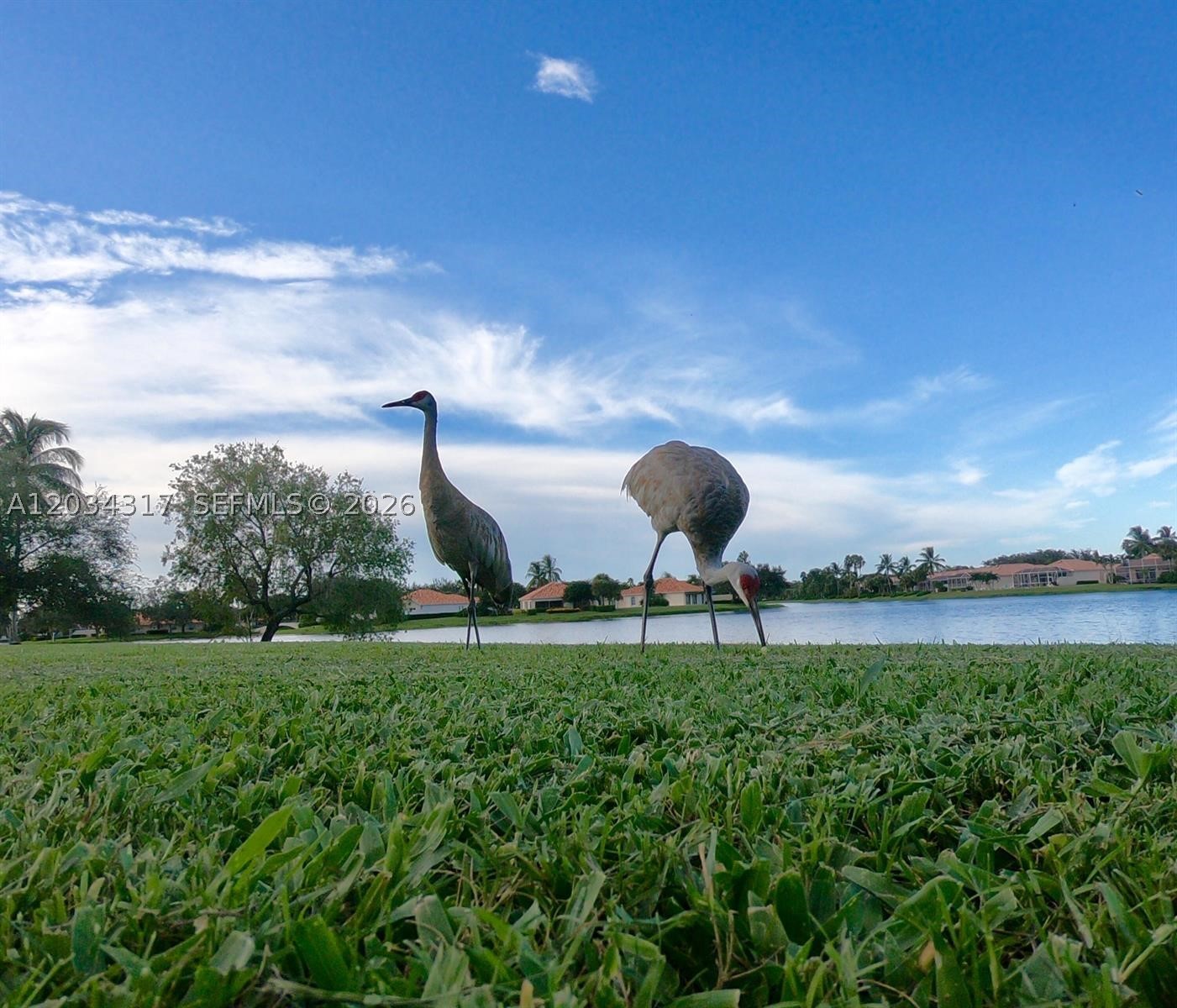 2104 Tigris Dr, West Palm Beach FL 33411