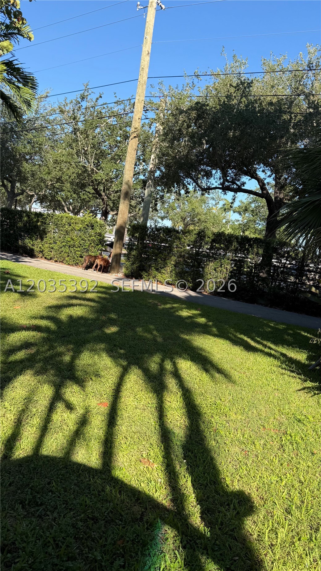 10115 Biscayne Blvd, Miami Shores FL 33138