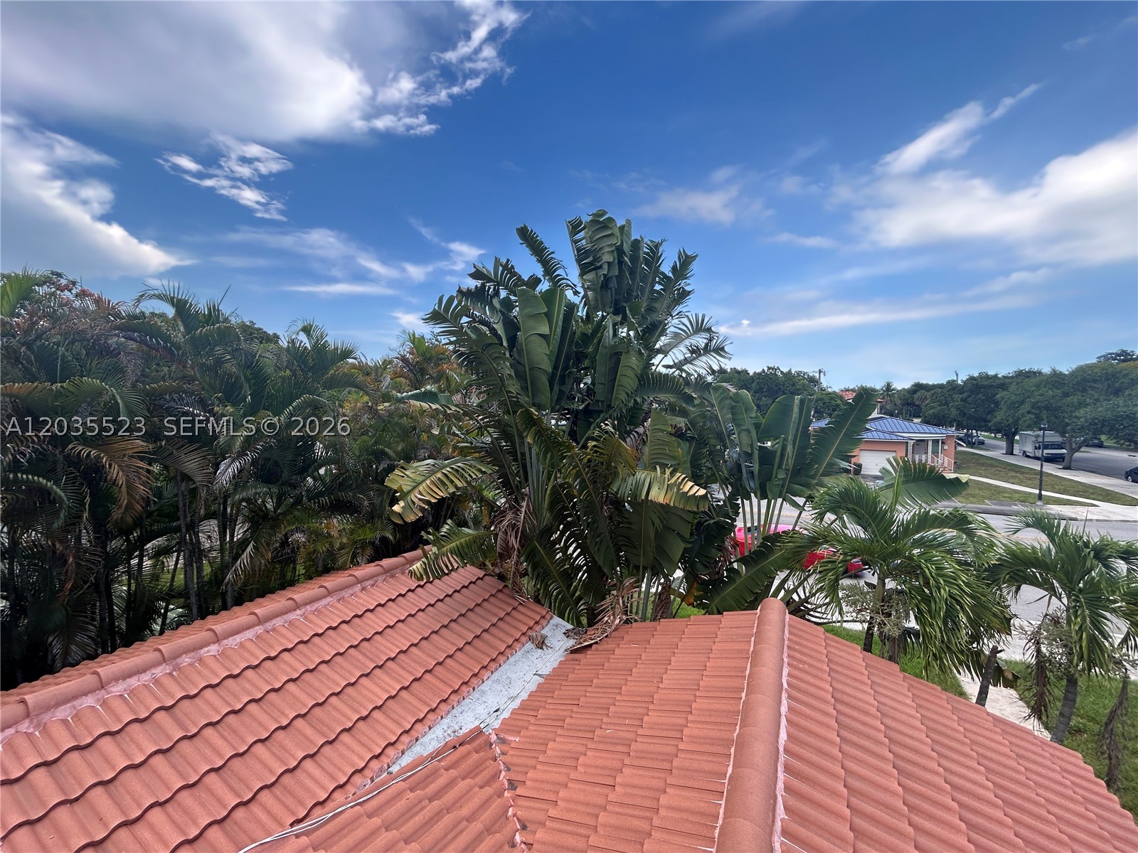 9600 N Miami Ave, Miami Shores FL 33150