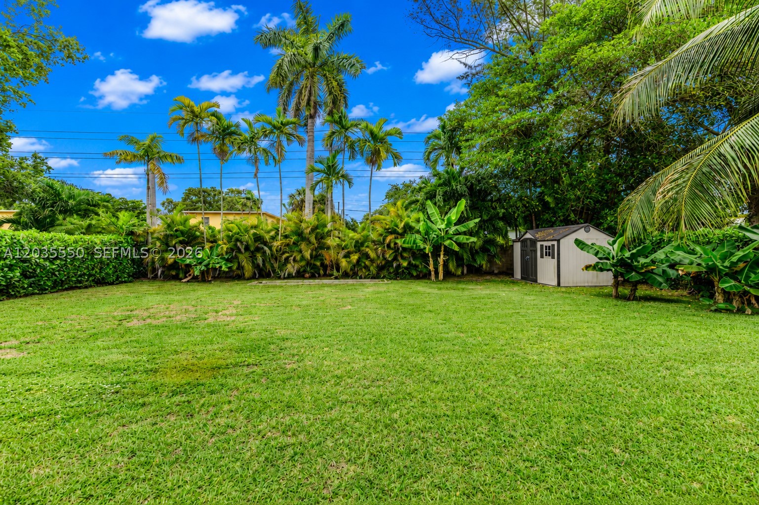 6255 SW 62nd Ct, South Miami FL 33143