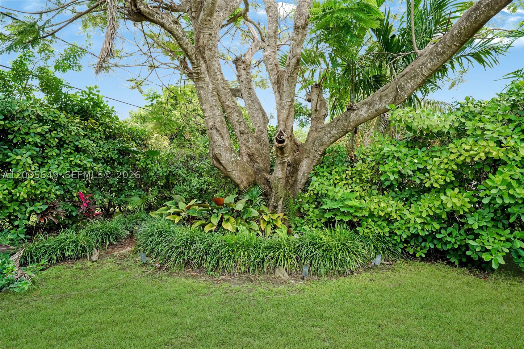 6600 SW 144th St, Coral Gables FL 33158