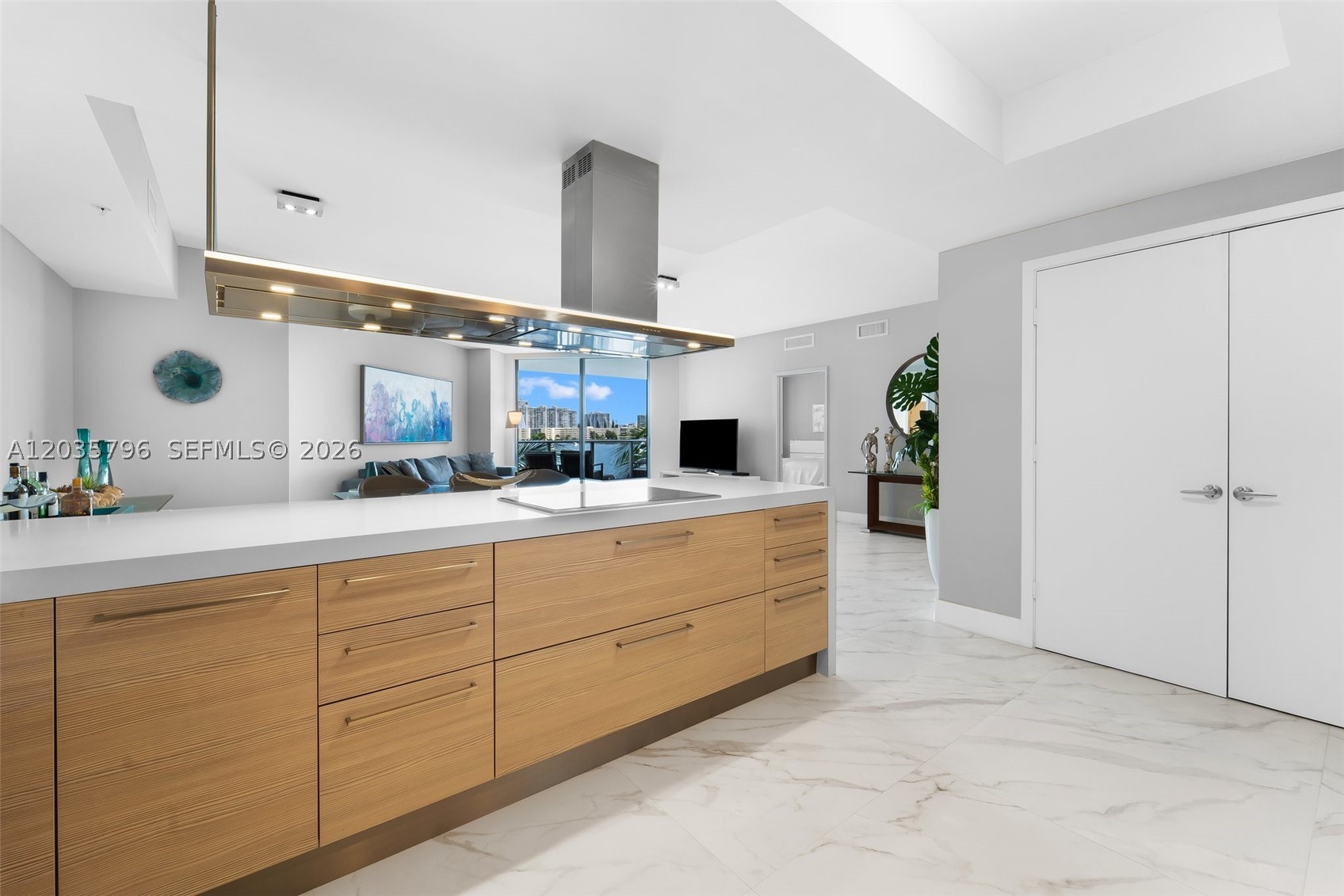 17111 Biscayne Blvd #307, North Miami Beach FL 33160
