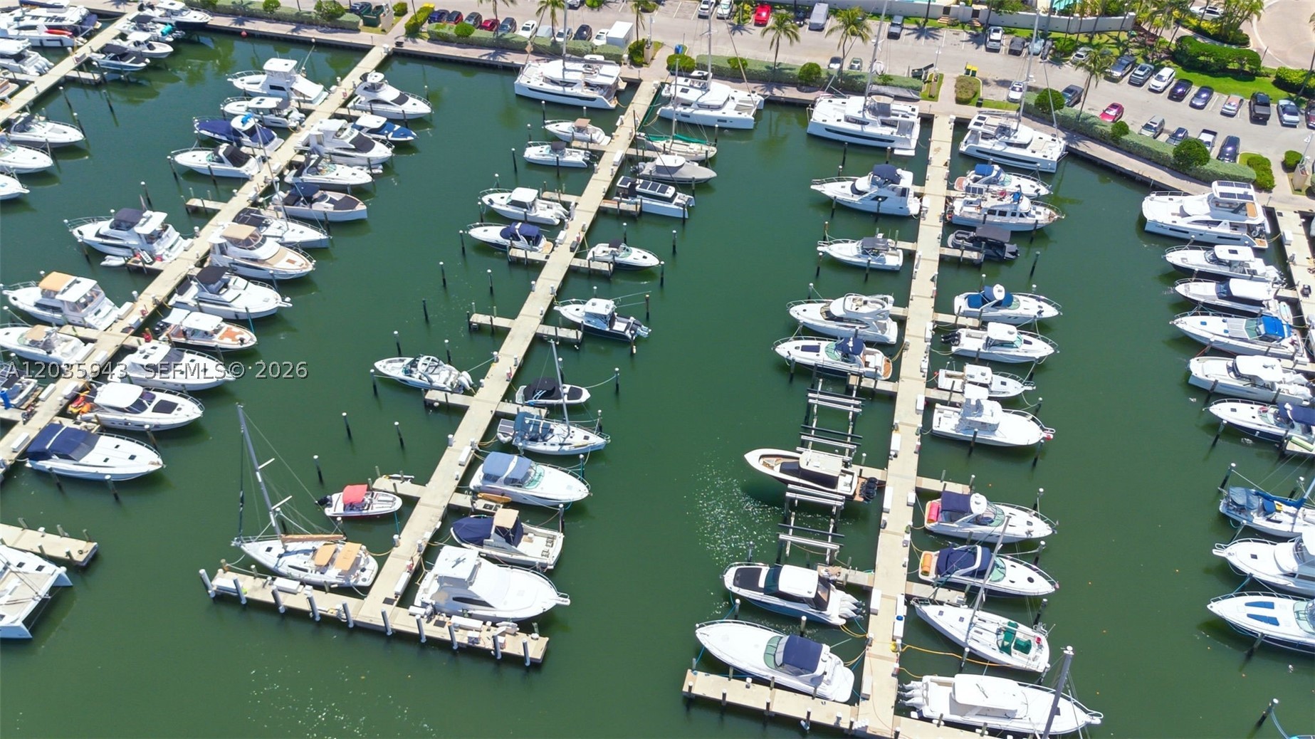 1205 Seagull Ter, Hollywood FL 33019