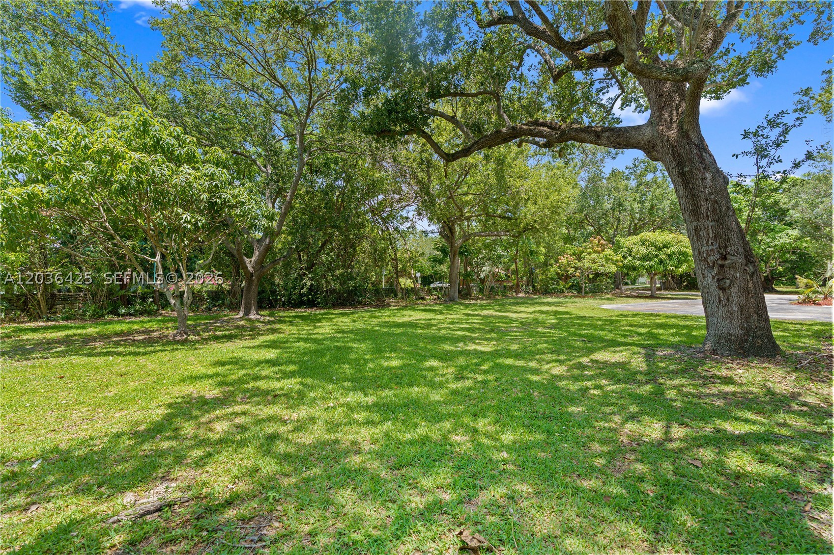 15200 SW 88th Ave, Palmetto Bay FL 33157