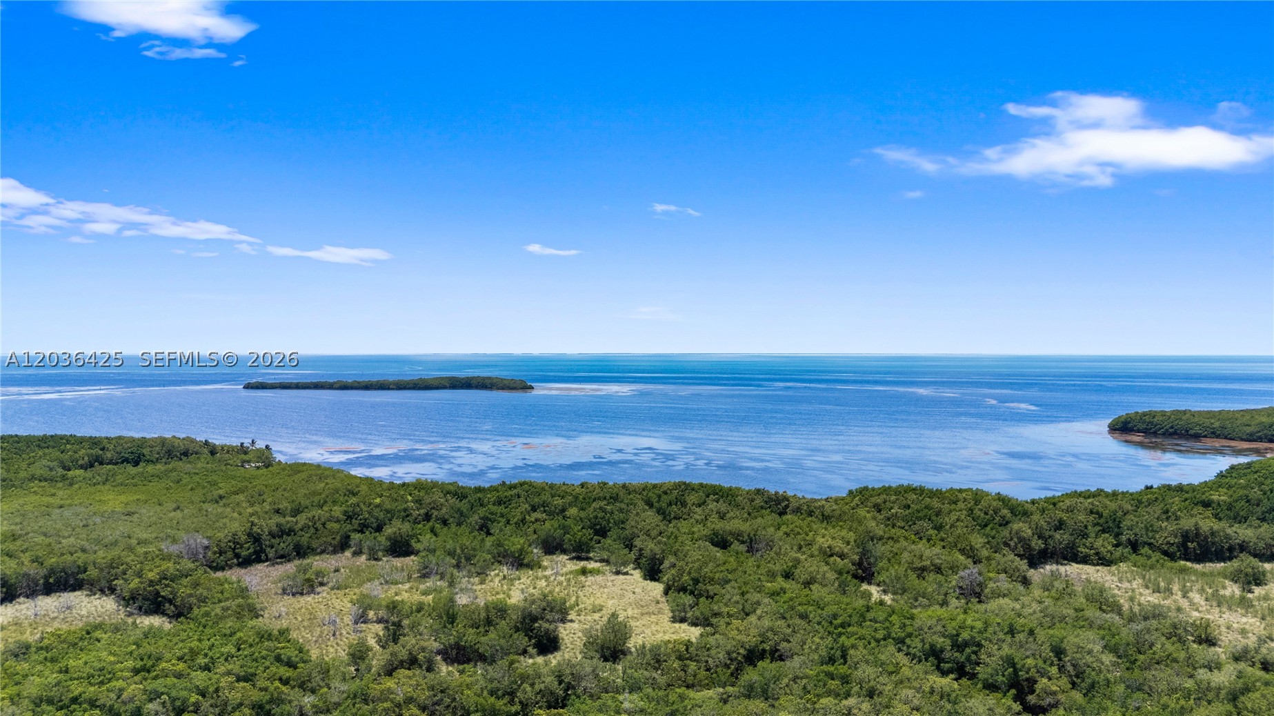 15200 SW 88th Ave, Palmetto Bay FL 33157