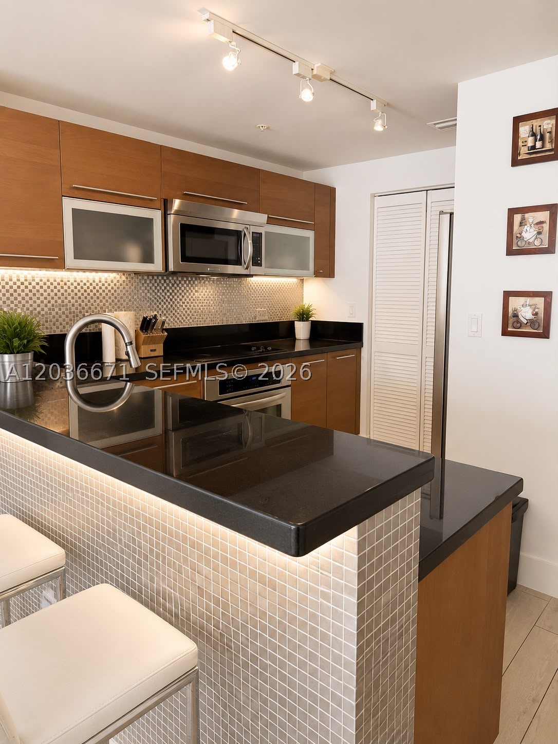 253 NE 2nd St #3004, Miami FL 33132