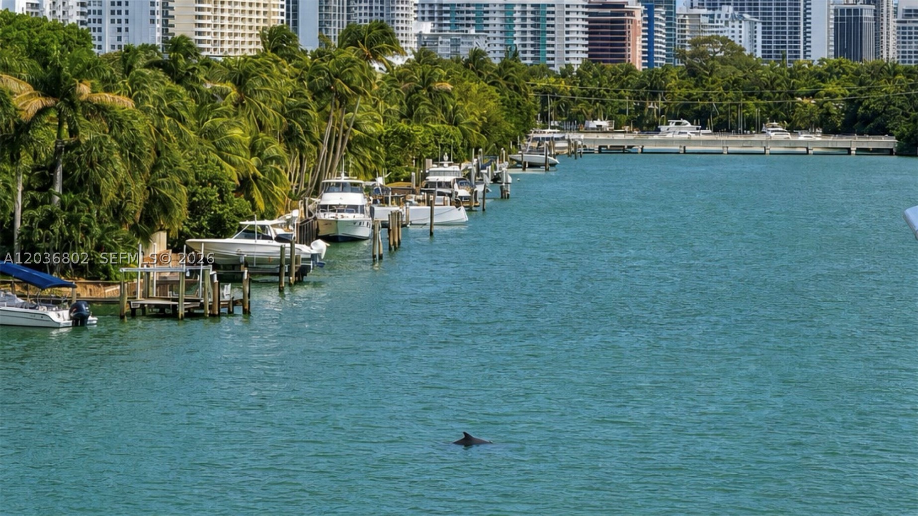 900 Bay Dr #424, Miami Beach FL 33141