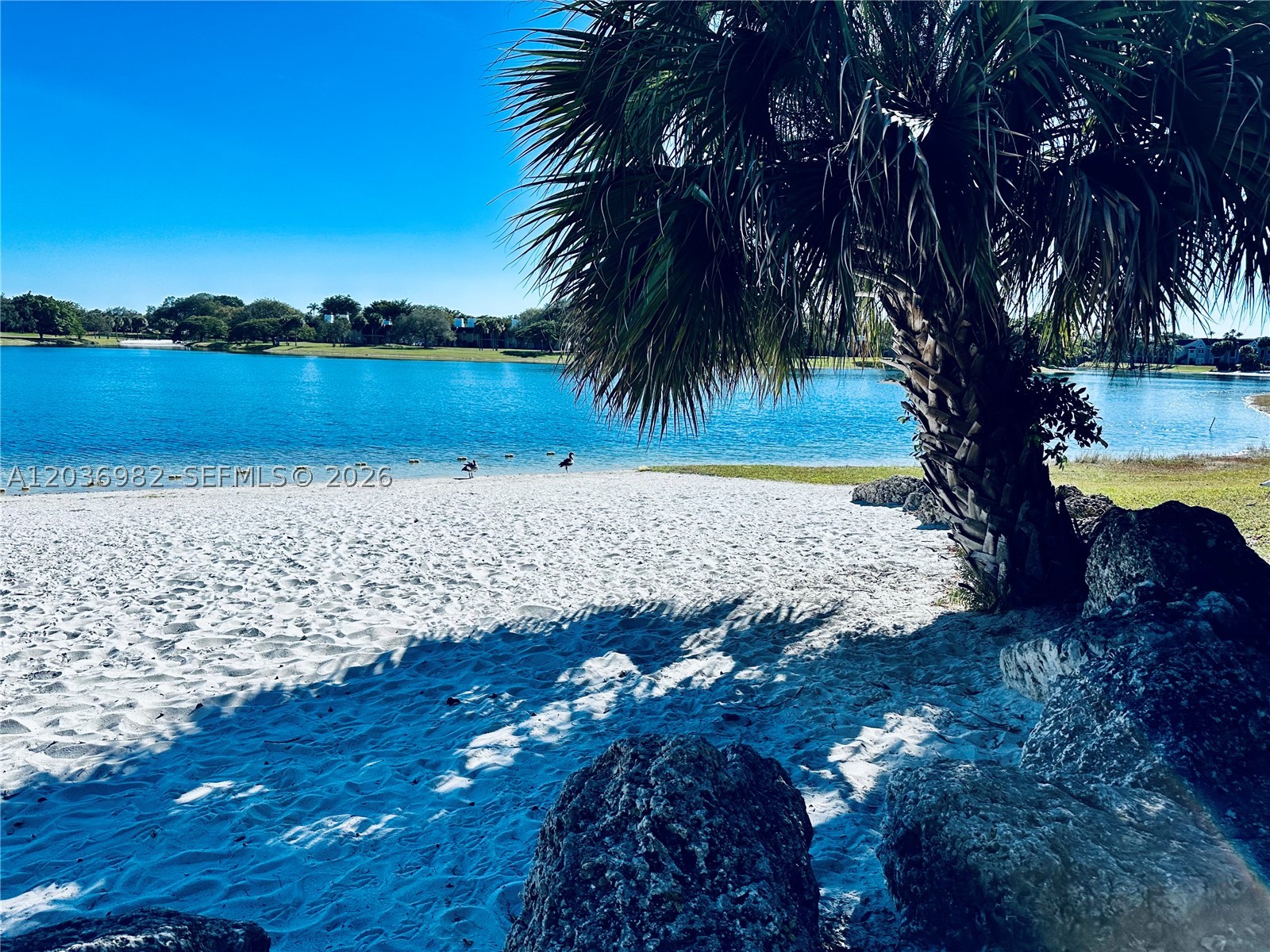 9703 Hammocks Blvd #108, Miami FL 33196