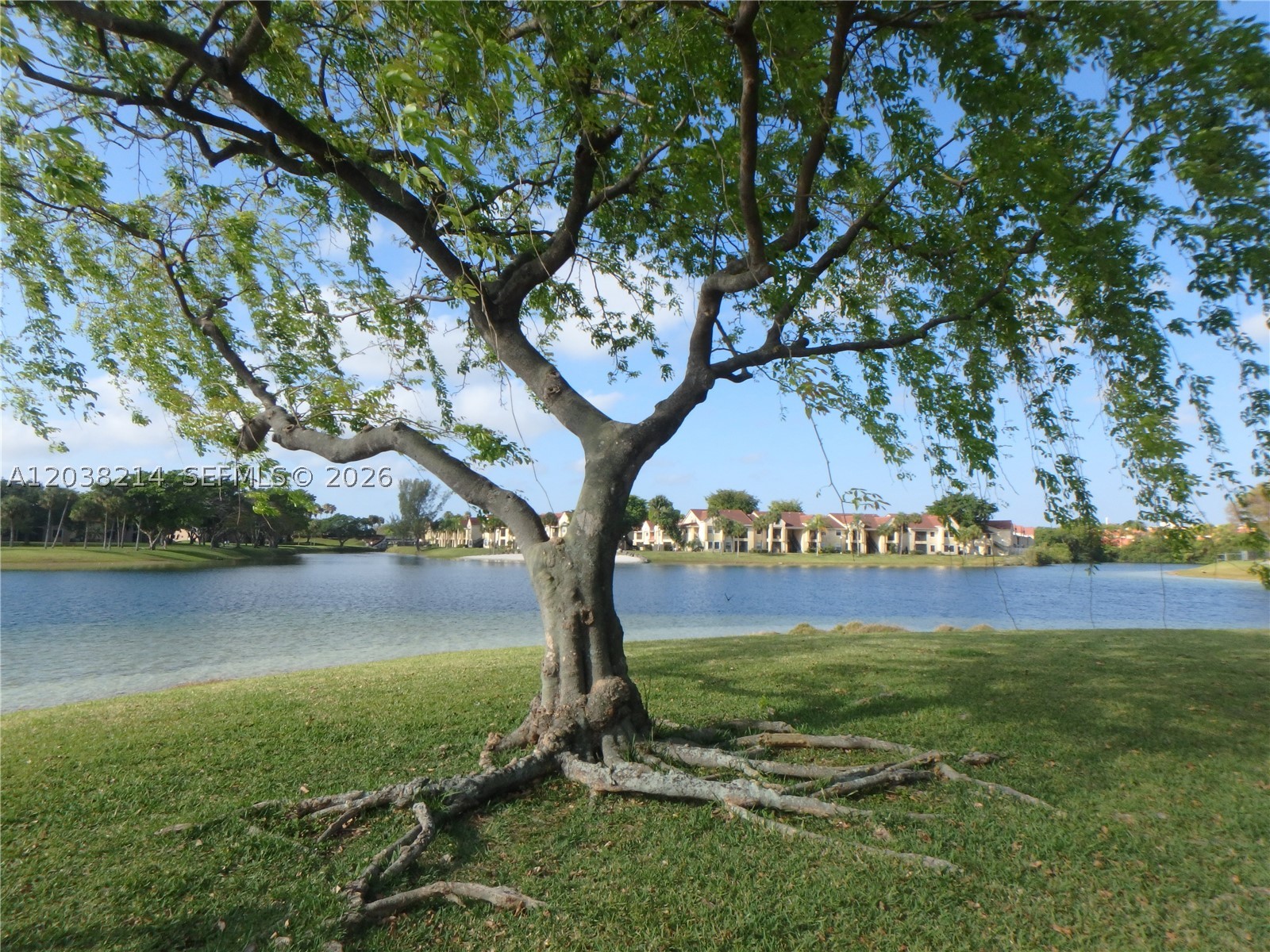 9727 Hammocks Blvd #101D, Miami FL 33196
